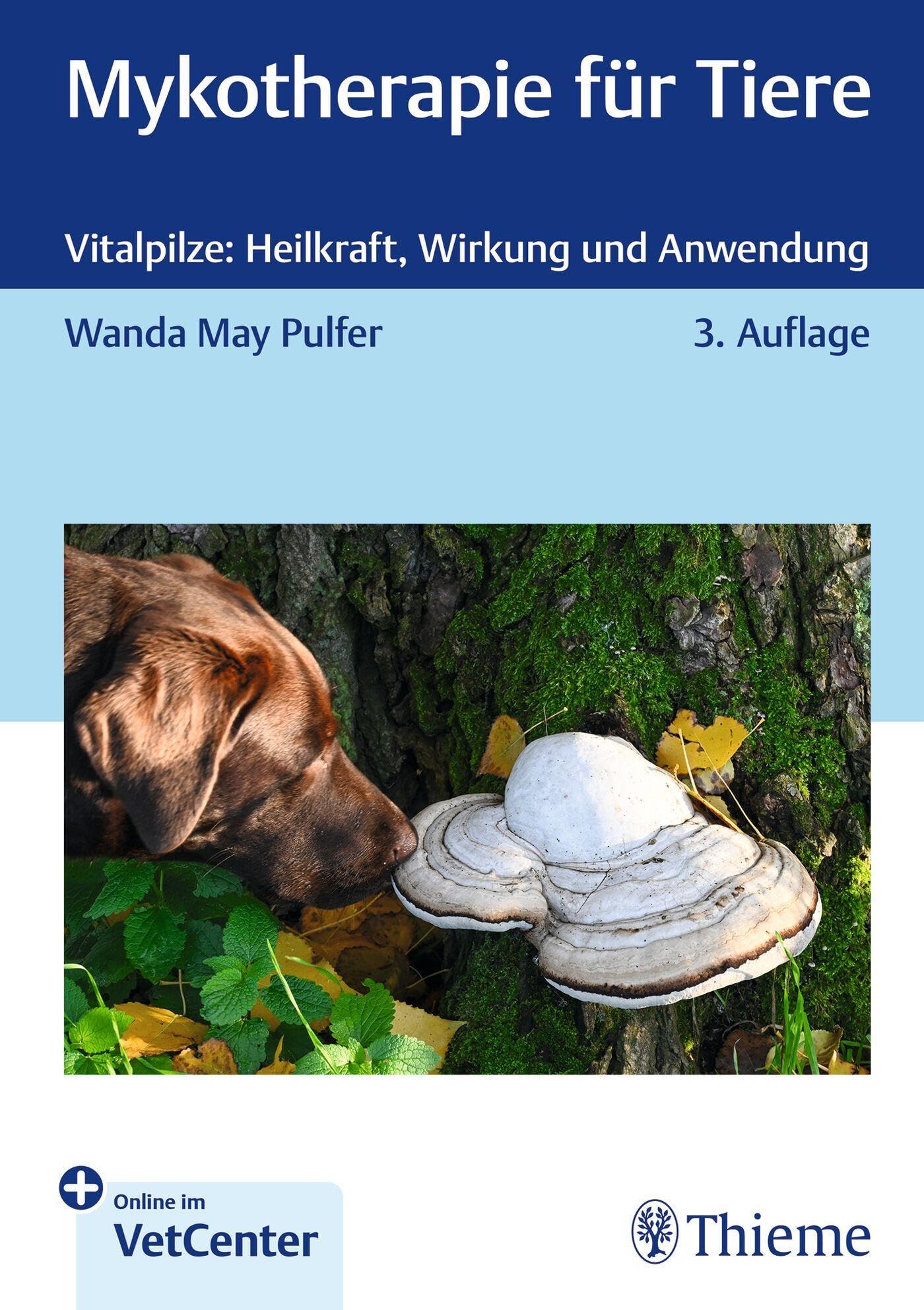 Mykotherapie für Tiere Medicine