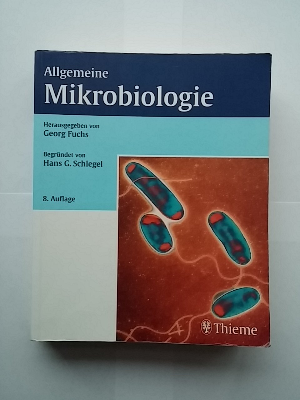 Allgemeine Mikrobiologie: Begründet von Hans-Günter Schlegel Natural Sciences