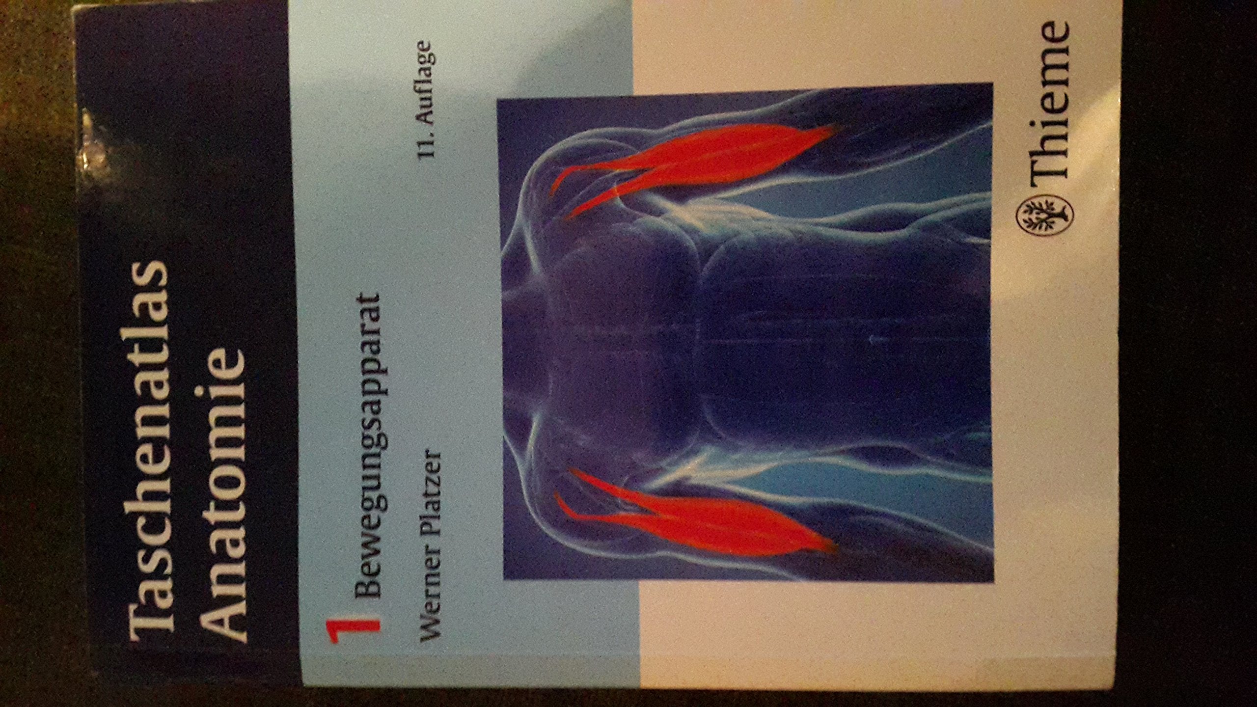 Taschenatlas Anatomie 01. Bewegungsapparat Medicine