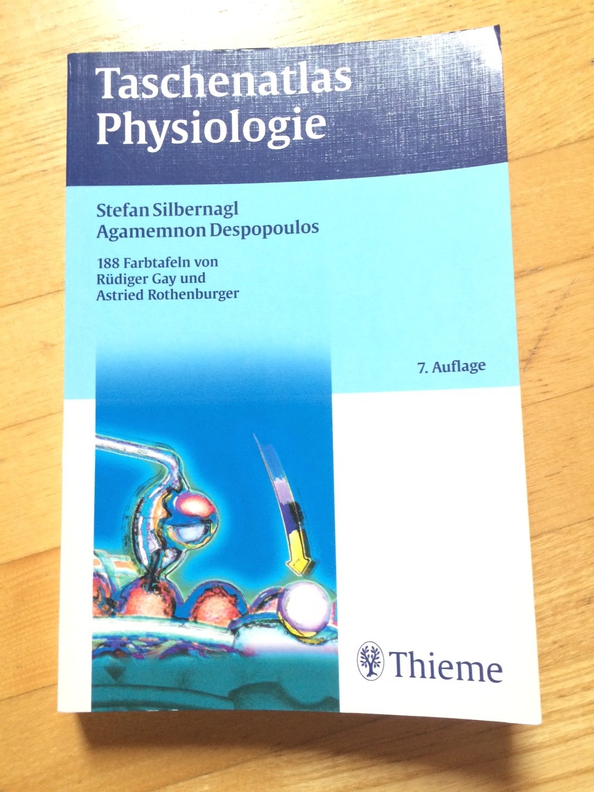 Taschenatlas der Physiologie Medicine