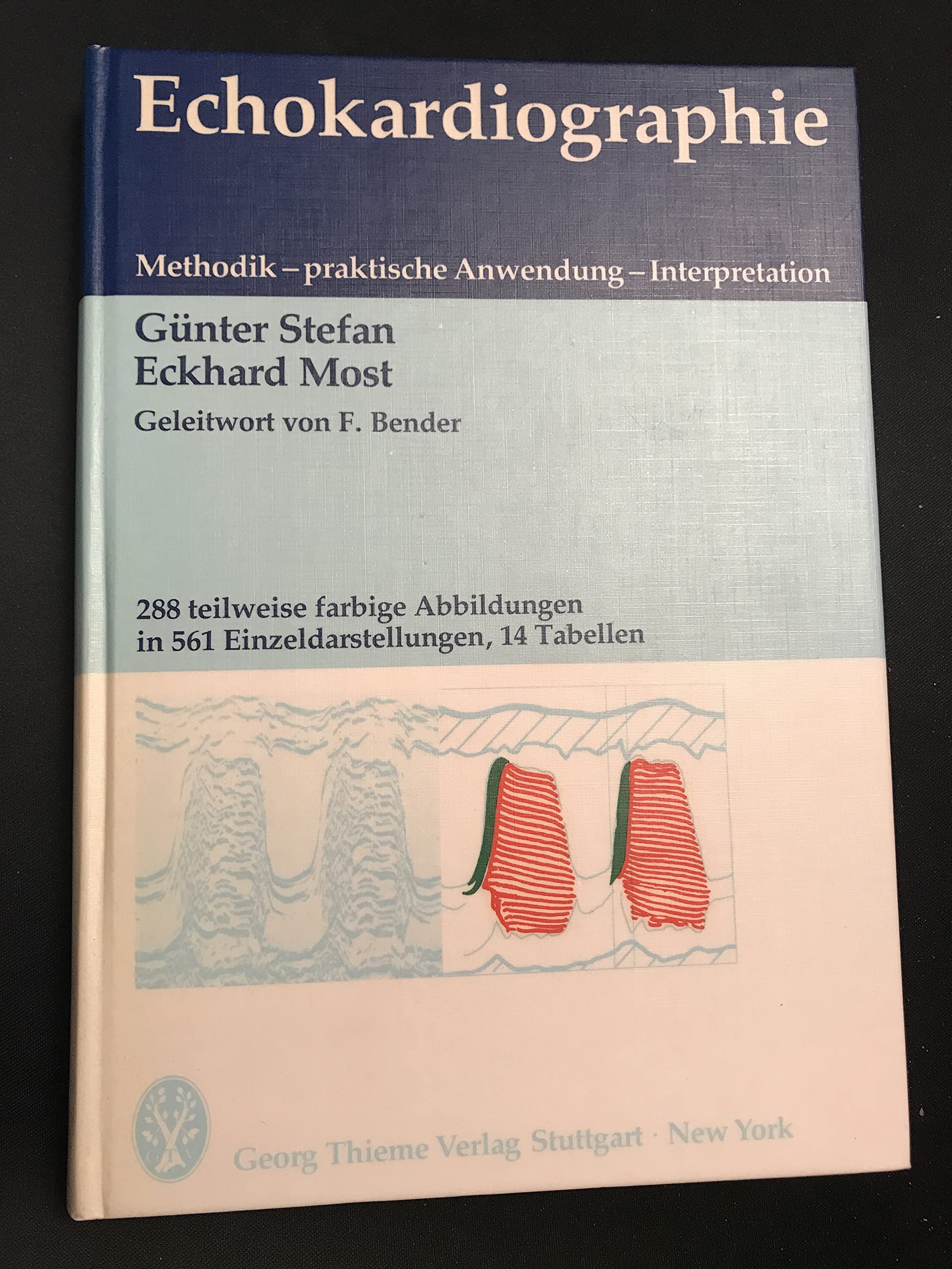 Echokardiographie Medicine