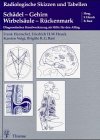 Radiologische Skizzen und Tabellen, Schädel, Gehirn, Wirbelsäule, Rückenmark Medicine