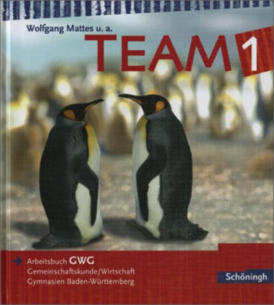 TEAM GWG - Arbeitsbücher für Gemeinschaftskunde und Wirtschaft an Gymnasien in Baden-Württemberg - Bisherige Ausgabe: Band 1: Bildungsstandards GWG ... / Band 1: Bildungsstandards GWG Klasse 8 Study Guides