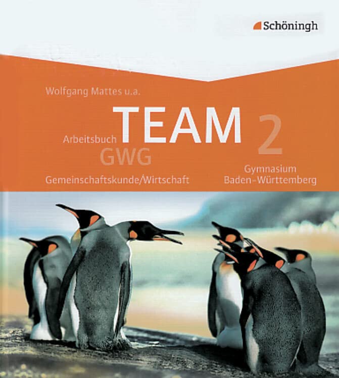 TEAM GWG 2.  Arbeitsbücher für Gemeinschaftskunde/Wirtschaft. Gymnasium. Baden-Württemberg. Neubearbeitung Study Guides