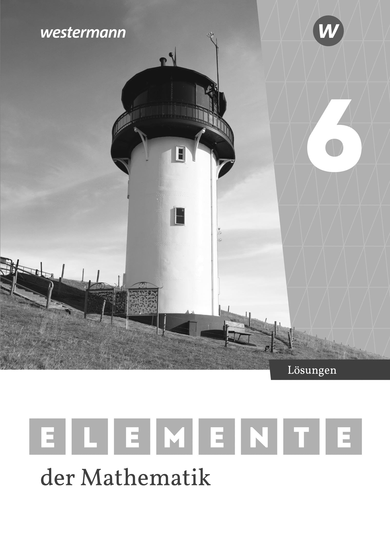Elemente der Mathematik SI 6. Lösungen. Ausgabe für Niedersachsen Study Guides