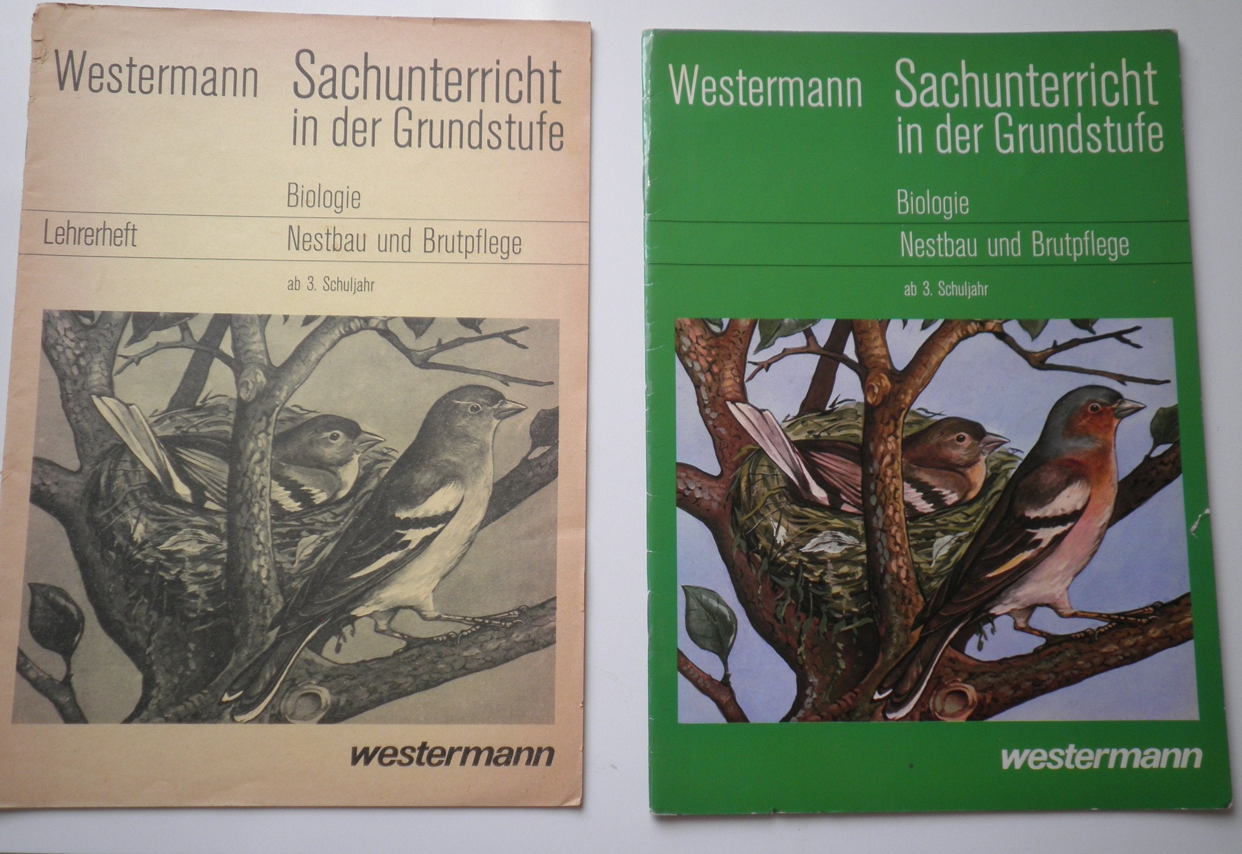 Nestbau und Brutpflege des Buchfinken, ab 3. Schuljahr (Sachunterricht in der Grundstufe) - Richard Meier Books