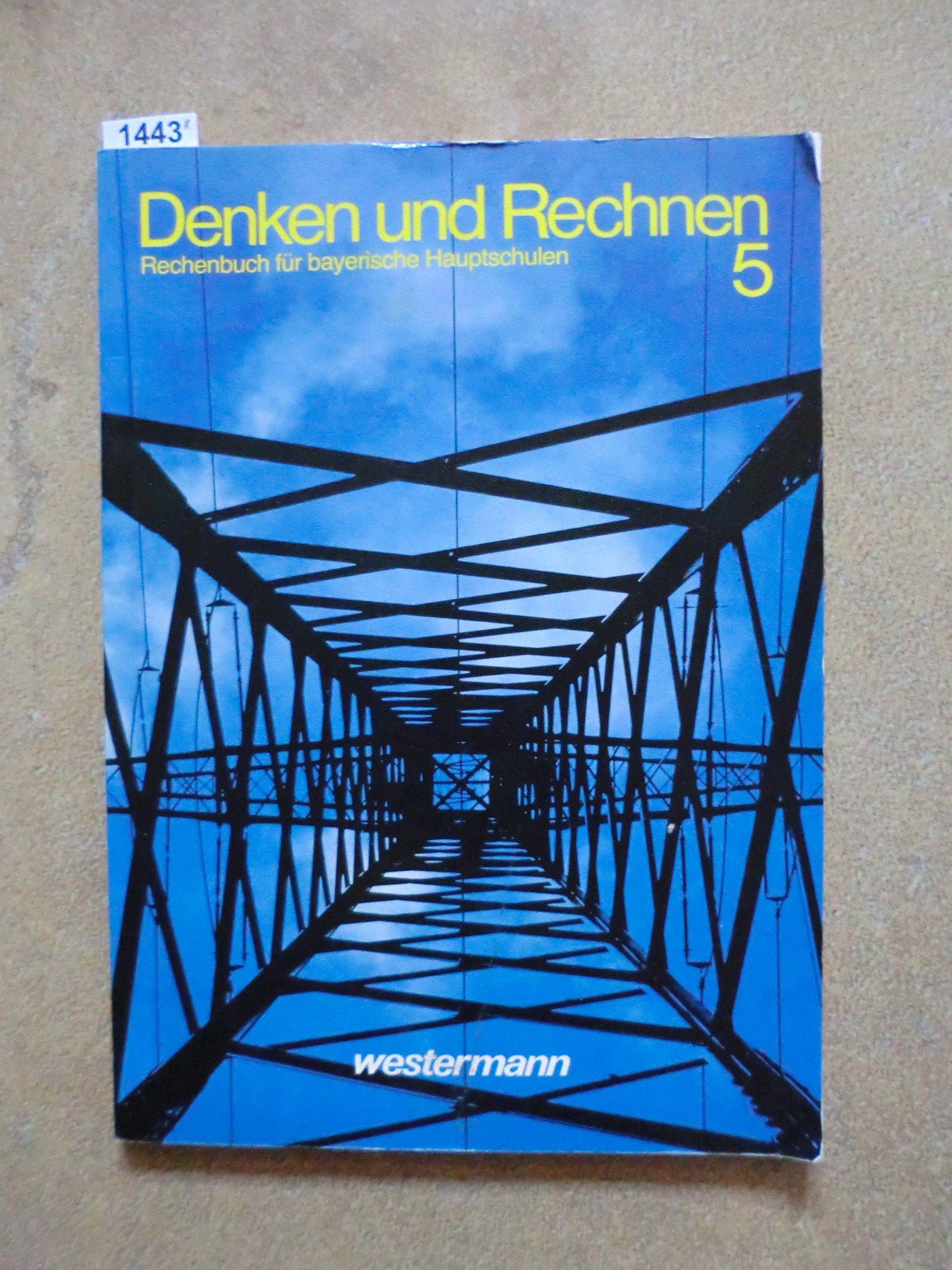 Denken und Rechnen. Rechenbuch für bayerische Hauptschulen: Denken und Rechnen, Ausgabe Bayern, Hauptschule, 5. Jahrgangsstufe Books