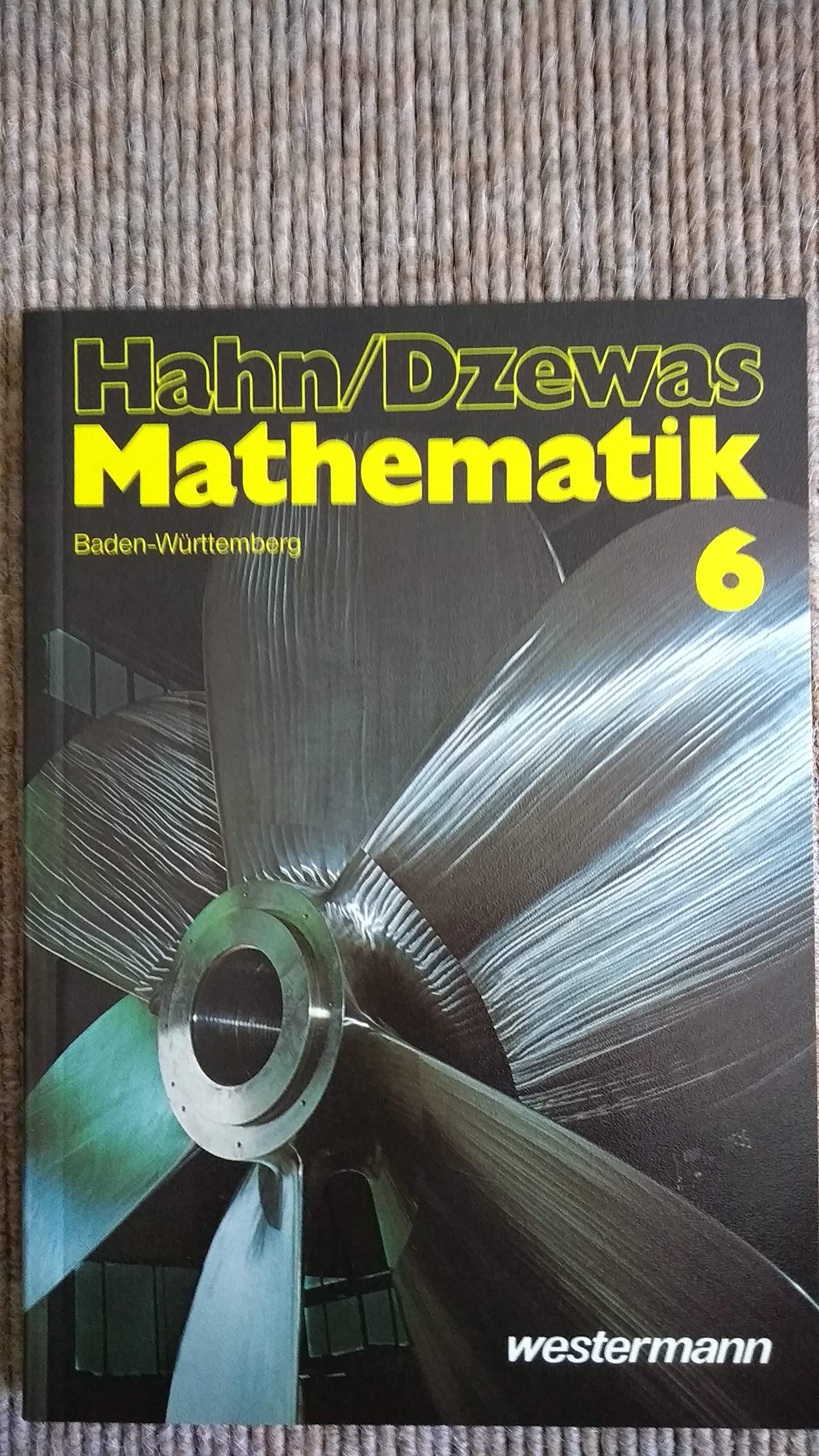 Mathematik für Gymnasien. Ausgabe Baden-Württemberg: 6. Schuljahr Books