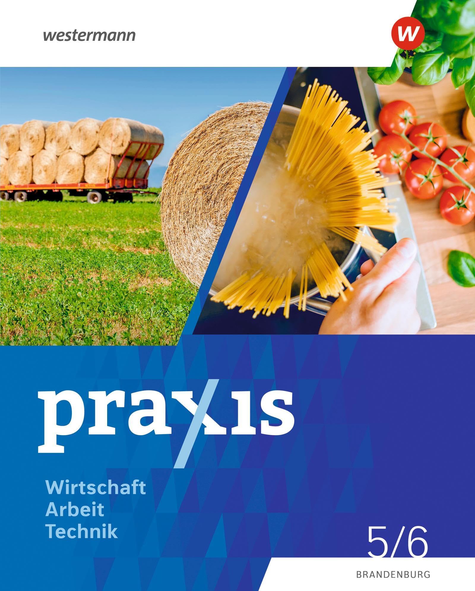 Praxis - WAT 5. / 6. Schuljahr. Schulbuch. Brandenburg Business, Finance & Career