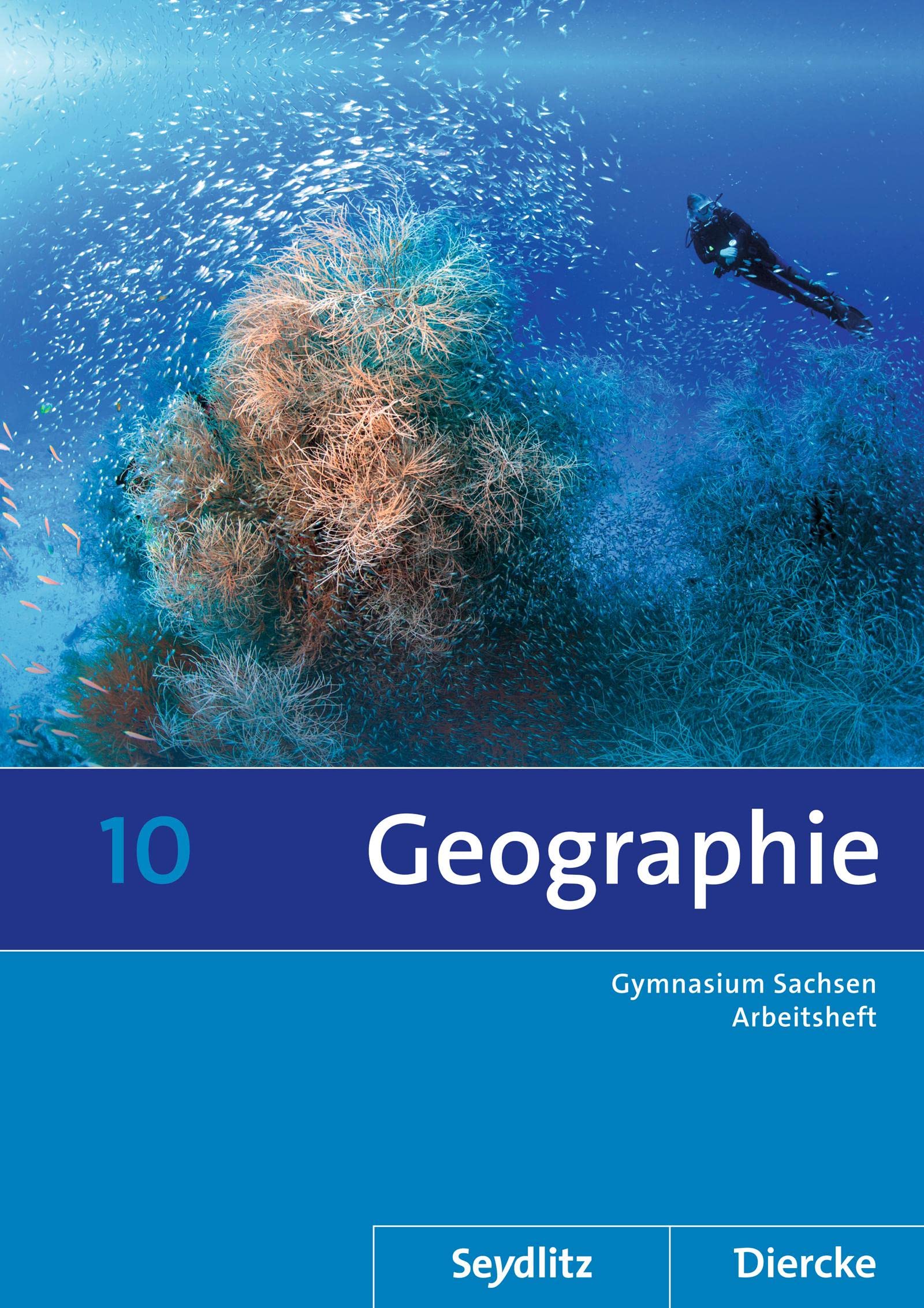 Diercke / Seydlitz Geographie 10. Arbeitsheft. Sachsen Study Guides