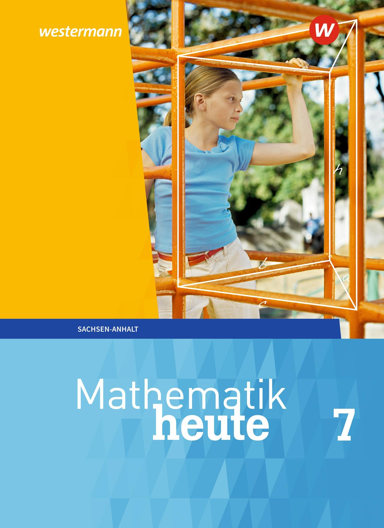 Mathematik heute - Ausgabe 2018 für Sachsen-Anhalt: Schulbuch 7 Study Guides