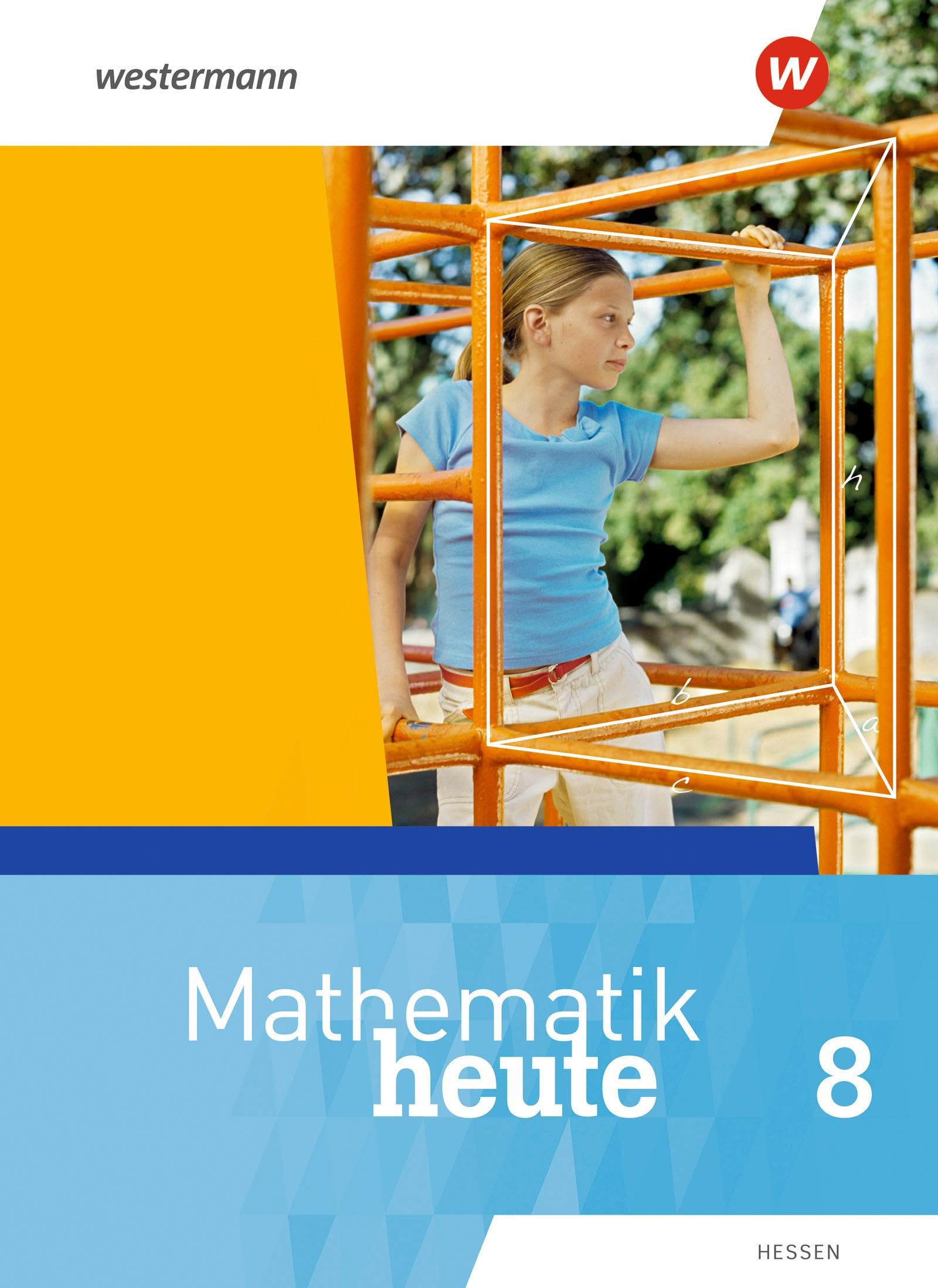 Mathematik heute - Ausgabe 2019 für Hessen: Schülerband 8 Study Guides
