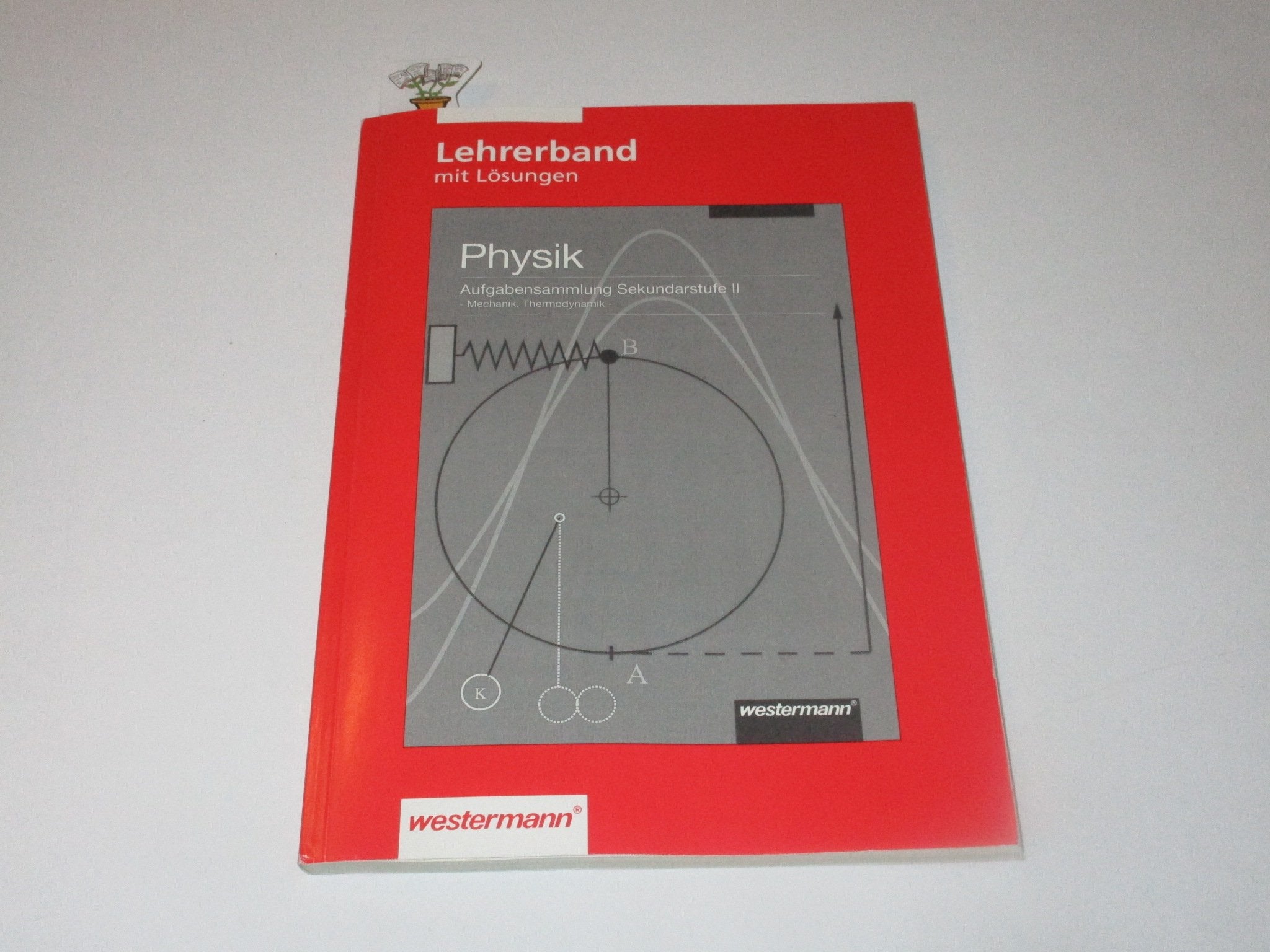 Physik - Aufgabensammlung. Lehrerband Books
