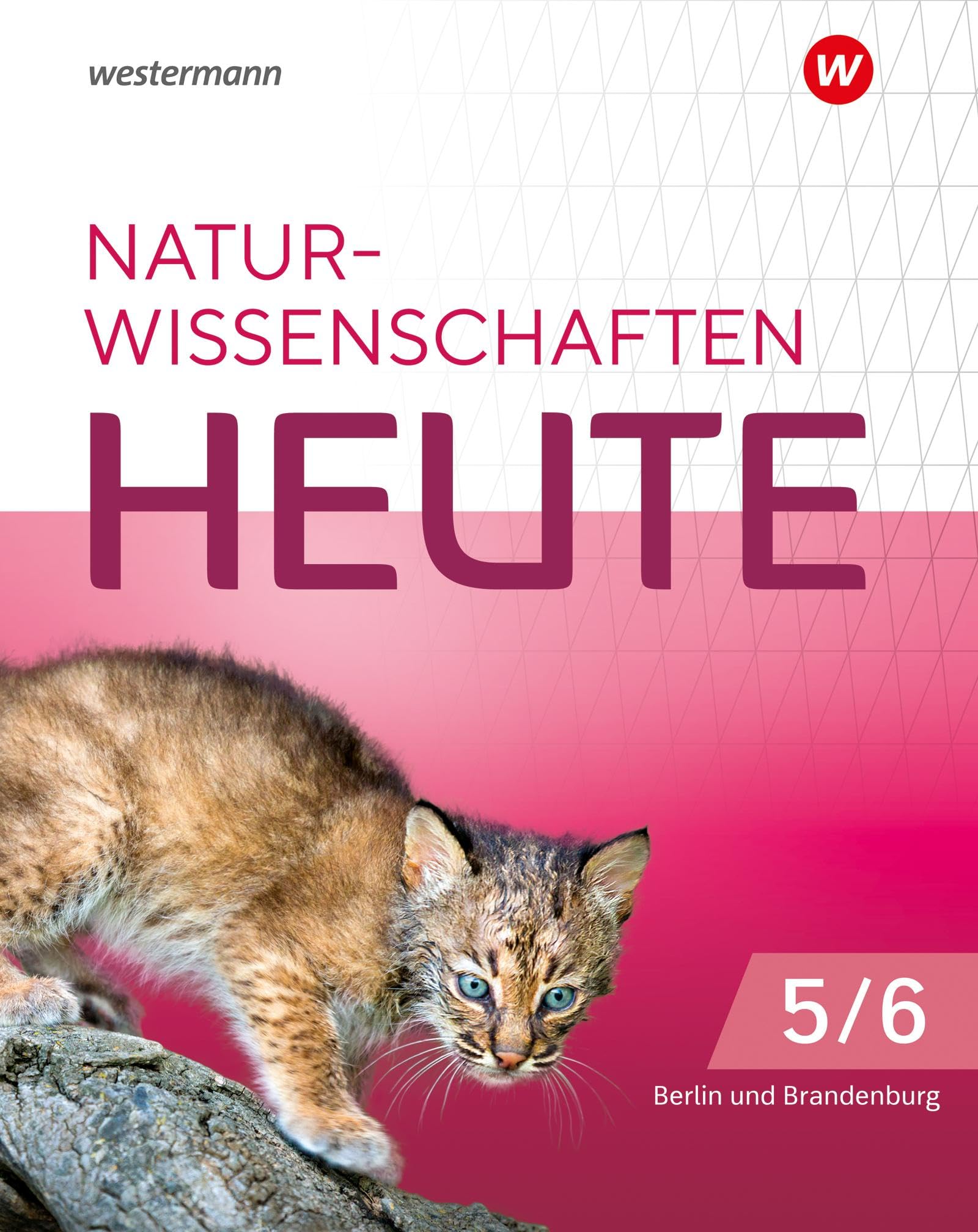 für die grundständigen Gymnasien in Berlin und Brandenburg  für die grundständigen Gymnasien Study Guides