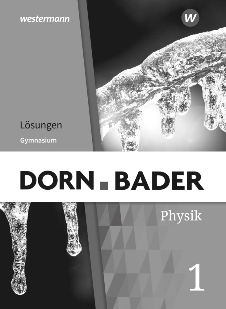 Dorn / Bader Physik SI - Allgemeine Ausgabe 2019 Study Guides
