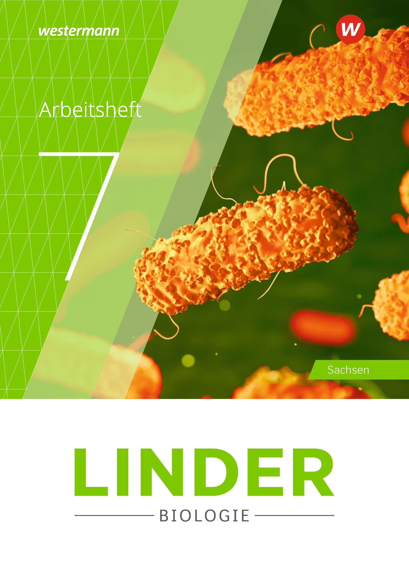 LINDER Biologie SI - Ausgabe 2020 für Sachsen: Arbeitsheft 7: Sekundarstufe 1 - Ausgabe 2020 Study Guides