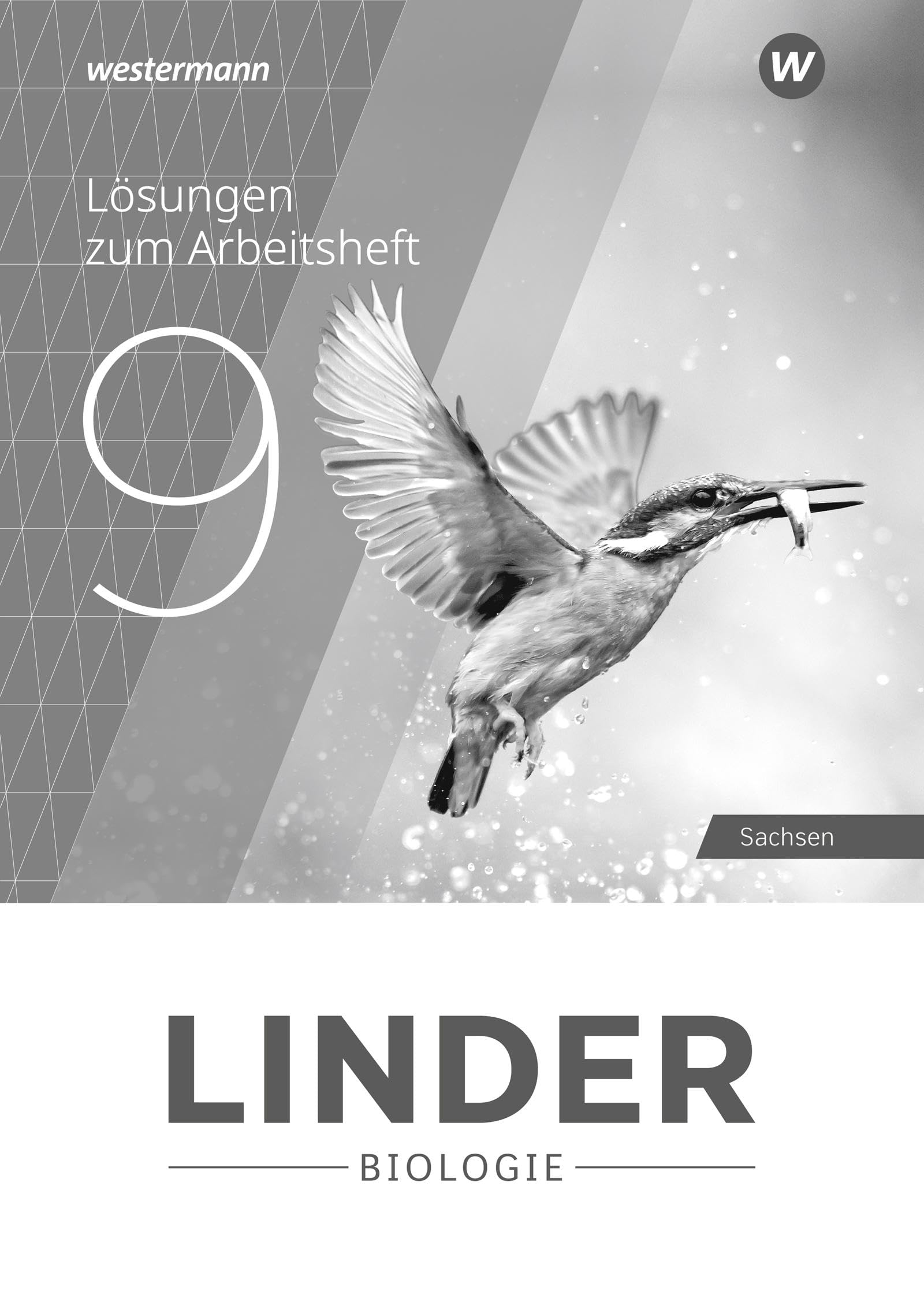 LINDER Biologie SI - Ausgabe 2020 für Sachsen: Lösungen zum Arbeitsheft 9: Sekundarstufe 1 - Ausgabe 2020 Study Guides