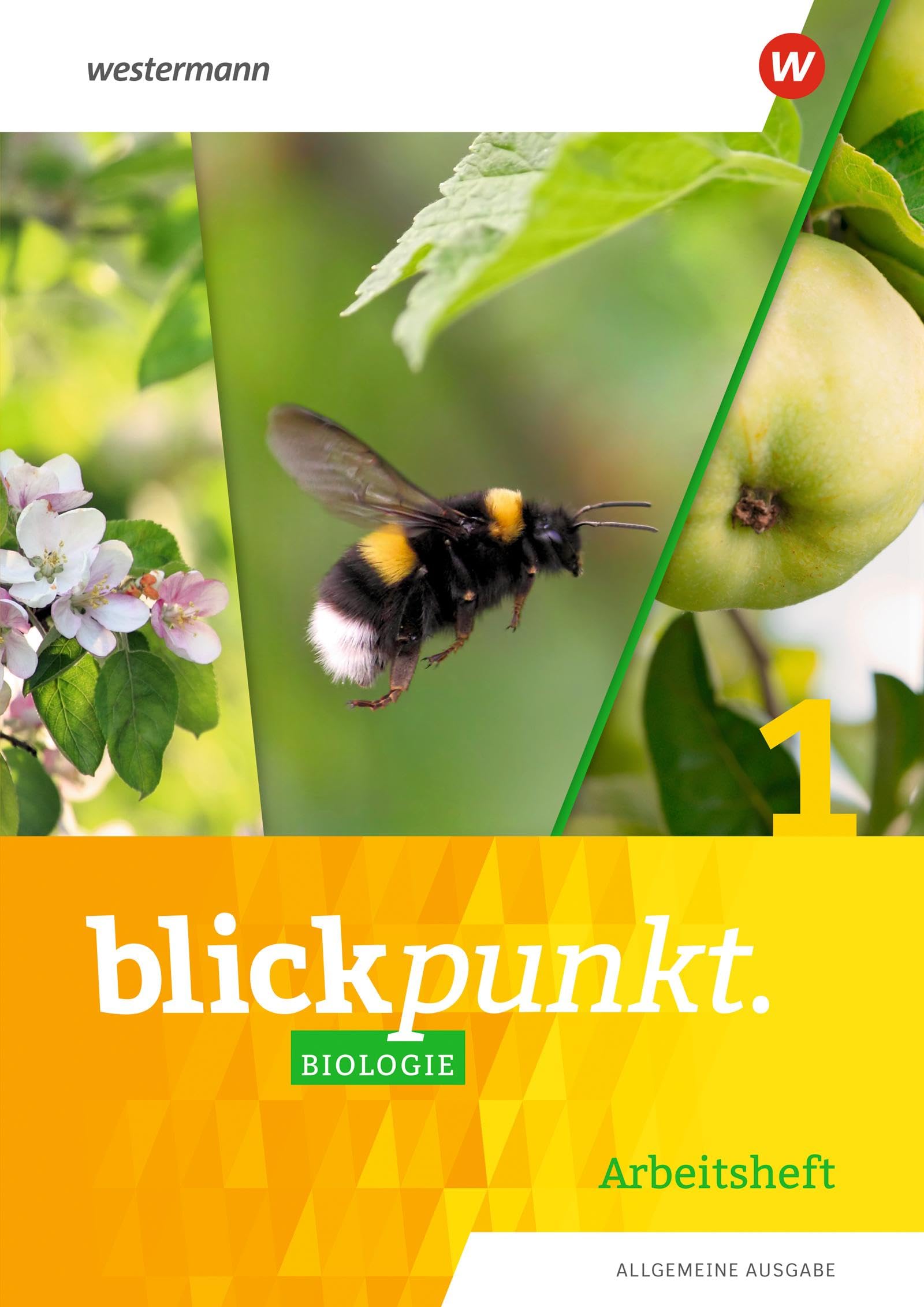 Blickpunkt Biologie - Allgemeine Ausgabe 2020: Arbeitsheft 1 Study Guides
