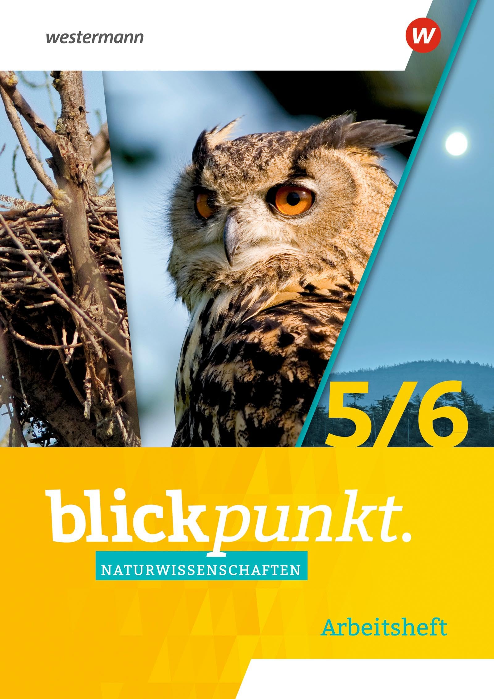 Blickpunkt Naturwissenschaften 5 / 6 Klassen. Arbeitsheft. Für Berlin, Brandenburg und Rheinland-Pfalz Study Guides