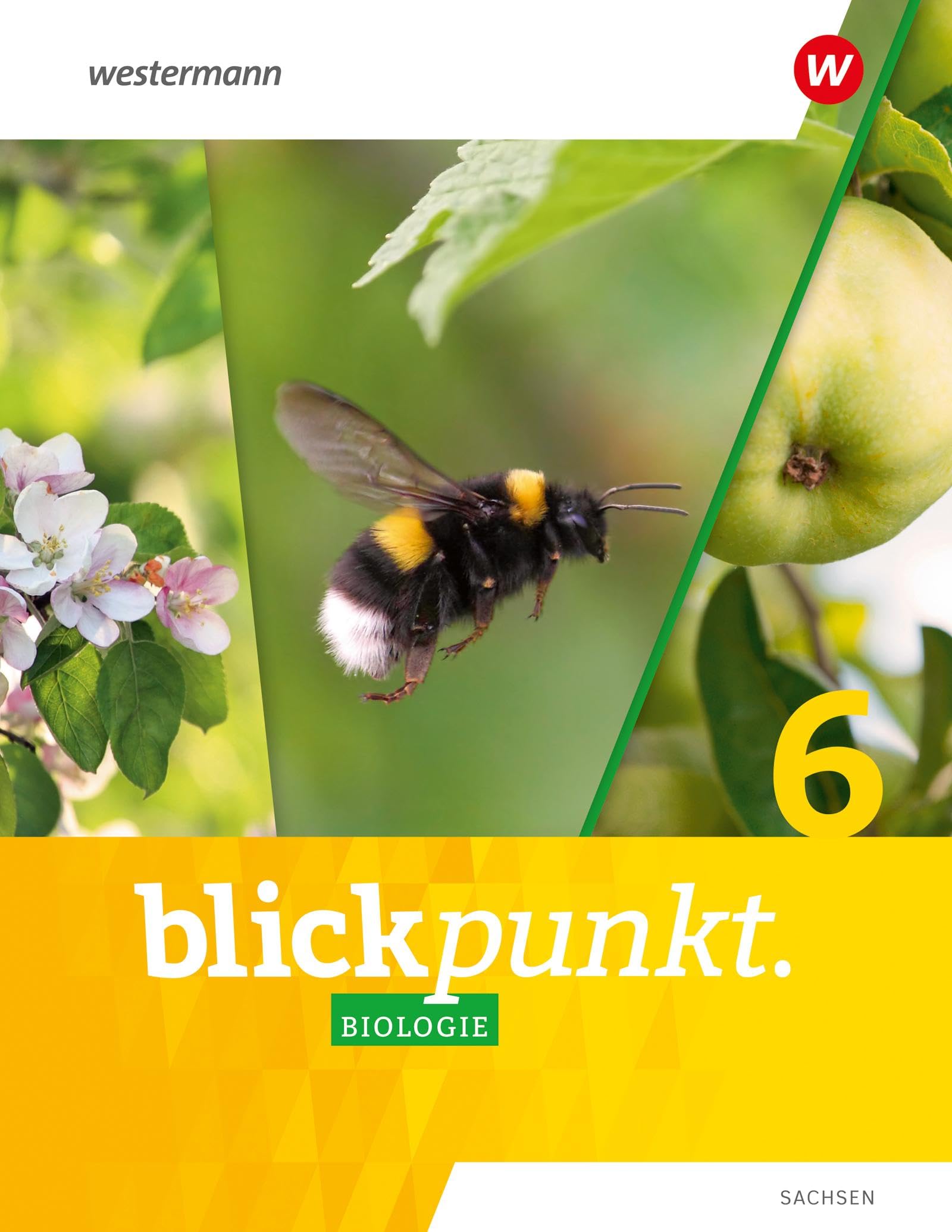 Blickpunkt Biologie 6. Schulbuch. Für Sachsen Study Guides