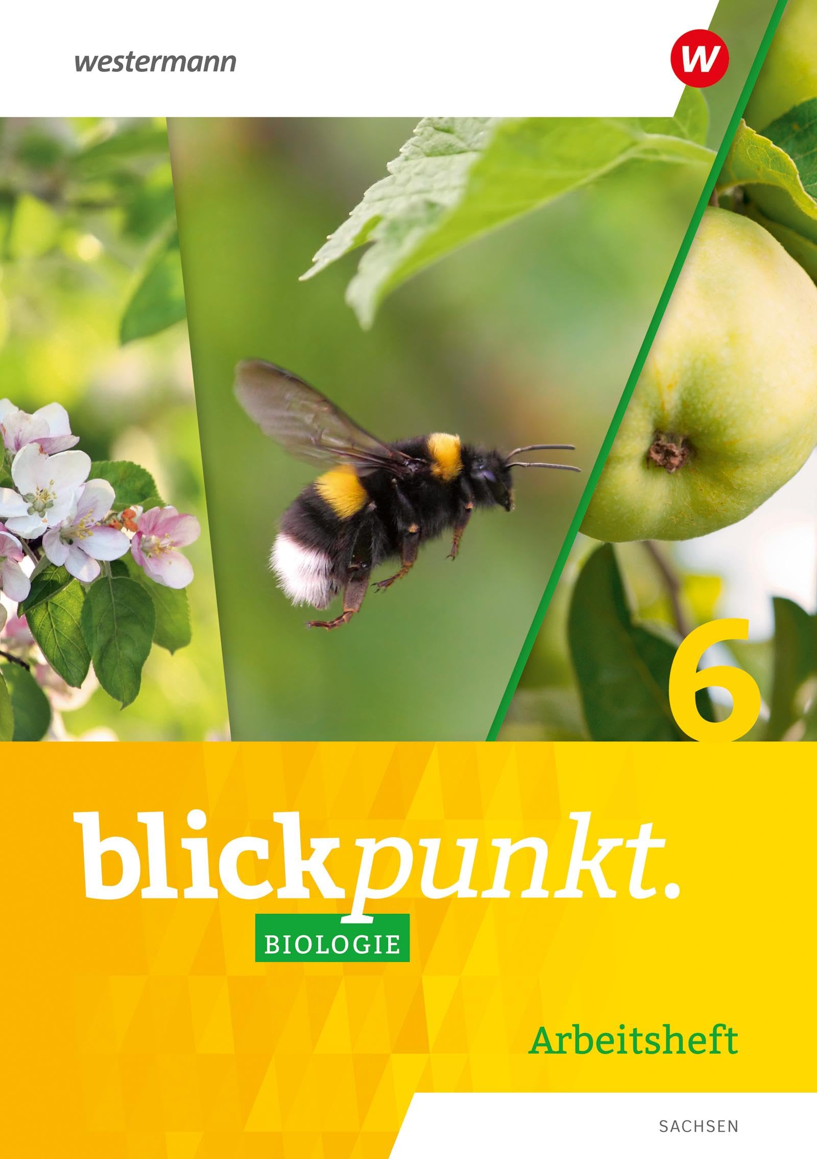 Blickpunkt Biologie 6. Arbeitsheft. Für Sachsen Study Guides