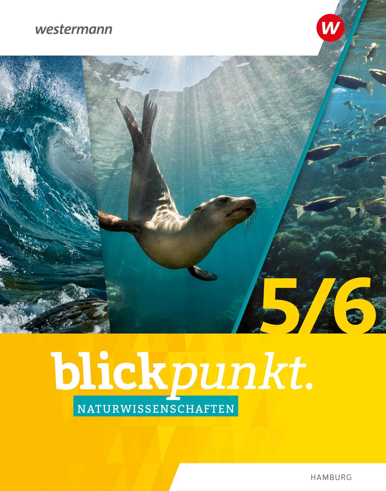 Blickpunkt Naturwissenschaften - Ausgabe 2024 für Hamburg: Schulbuch 5 / 6 Study Guides