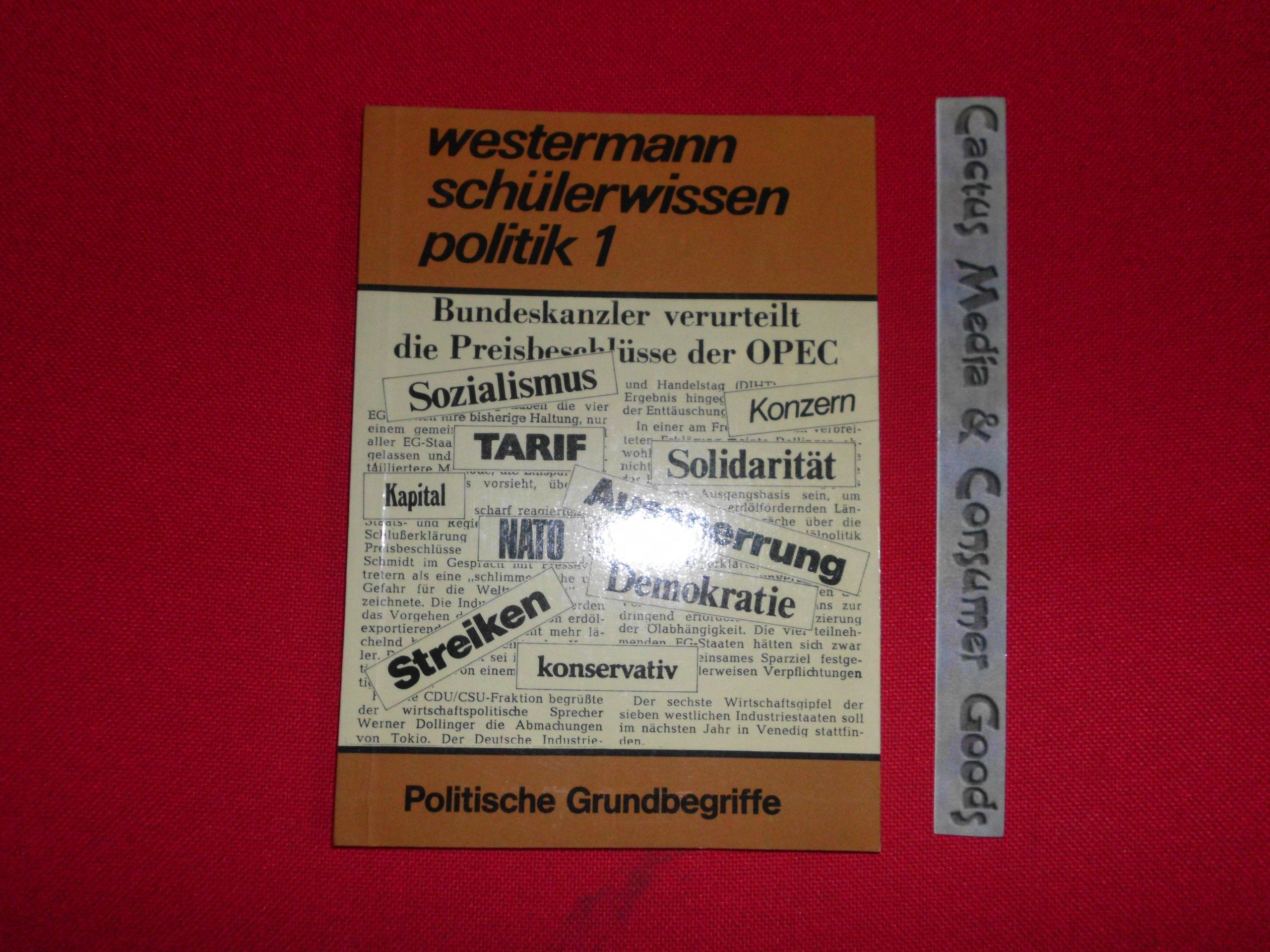Politik I. Politische Grundbegriffe. Westermann Schülerwissen Books