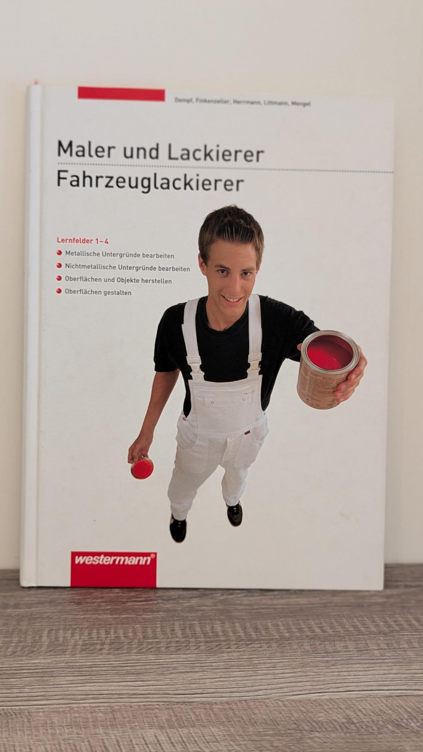 Maler und Lackierer / Fahrzeuglackierer. Lernfelder 1 - 4 Professional & Reference Books