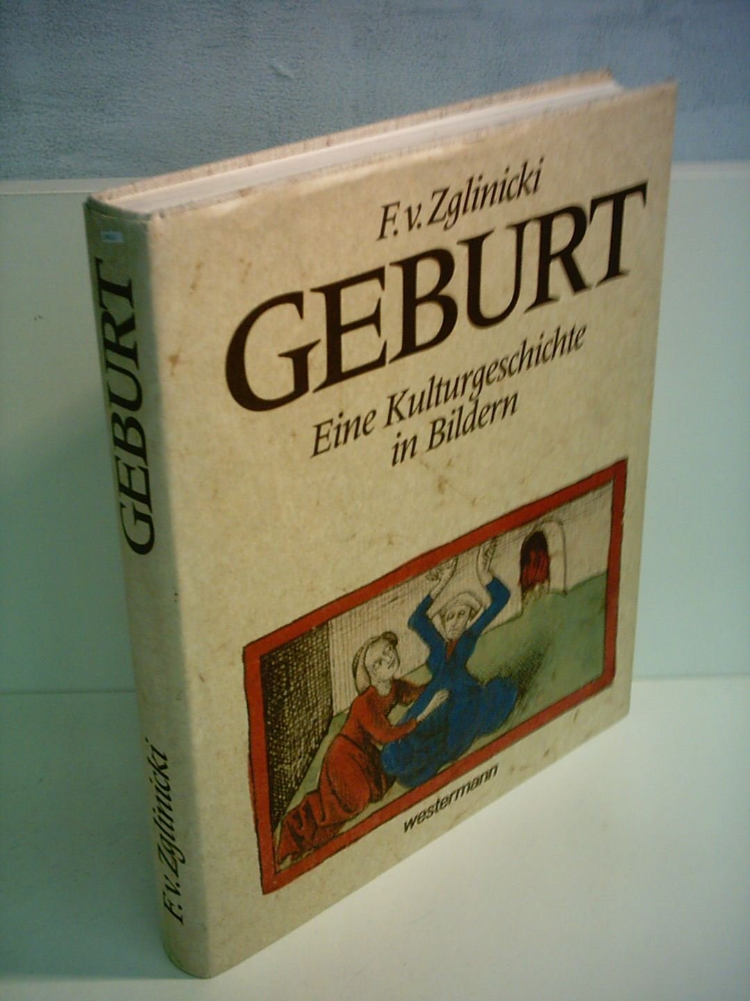 Geburt. Eine Kulturgeschichte in Bildern book