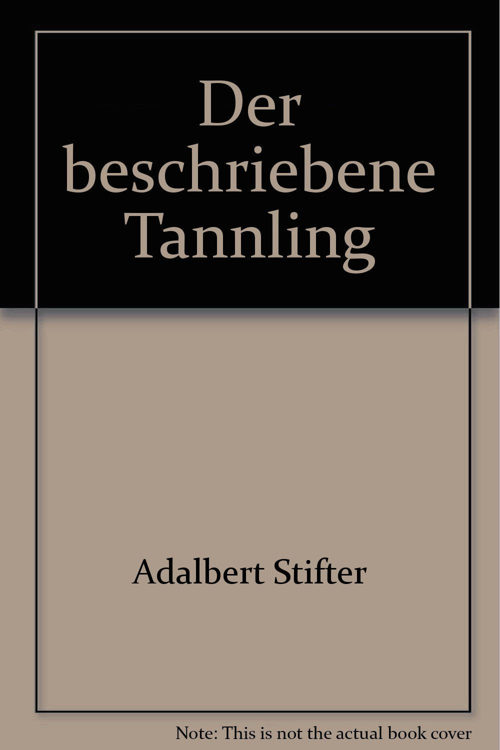 Der beschriebene Tännling (Reclams Universal-Bibliothek) Classics