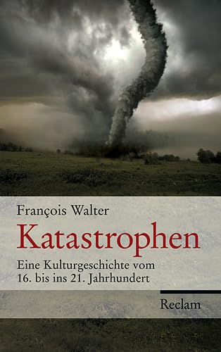 Katastrophen: Eine Kulturgeschichte vom 16. bis ins 21. Jahrhundert Politics & History