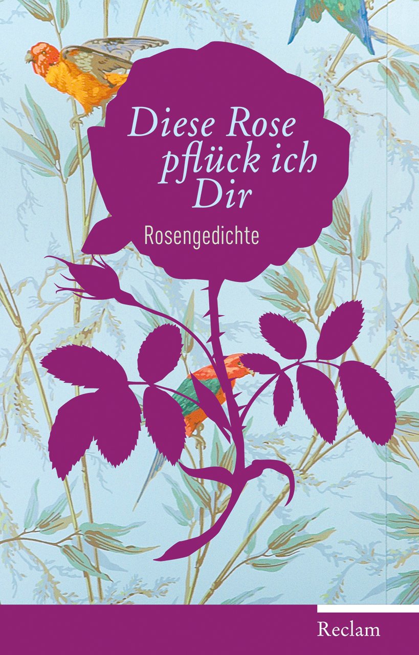 Diese Rose pflück ich dir Contemporary literature Books