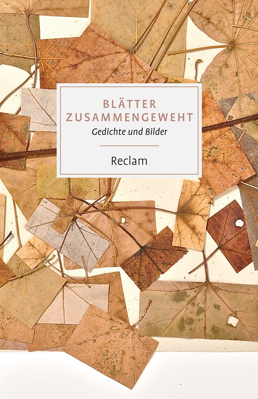 Product Image: Blätter zusammengeweht