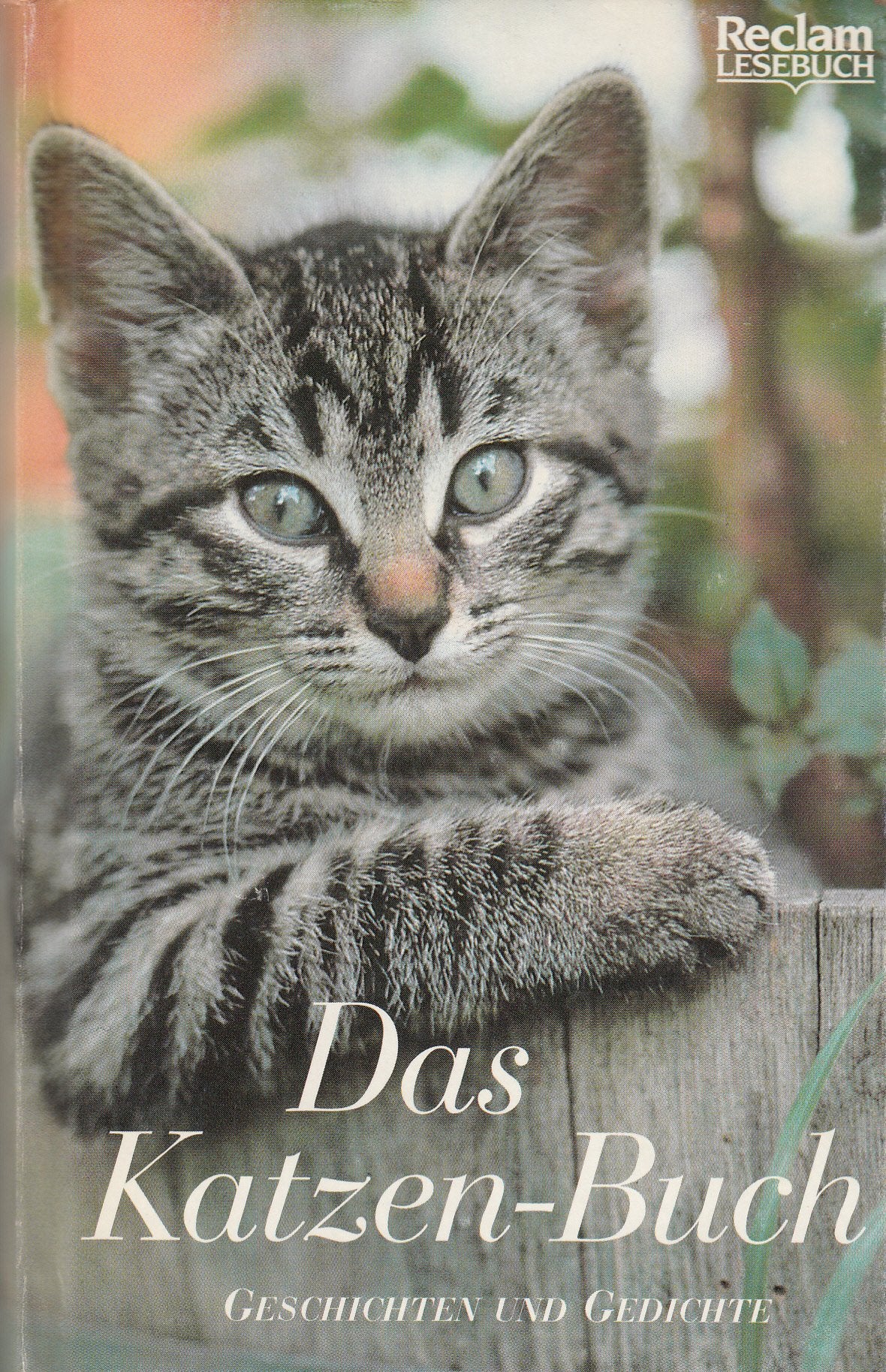 Das Katzen-Buch: Geschichten und Gedichte Fiction