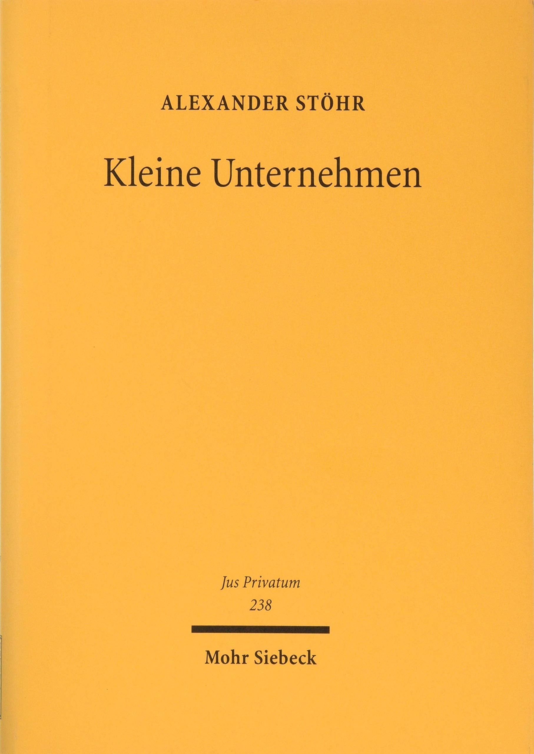 Kleine Unternehmen: Schutz und Interessenausgleich im Machtgefüge zwischen Arbeitnehmern, Verbrauchern und Großunternehmen (Jus Privatum, Band 238) Law