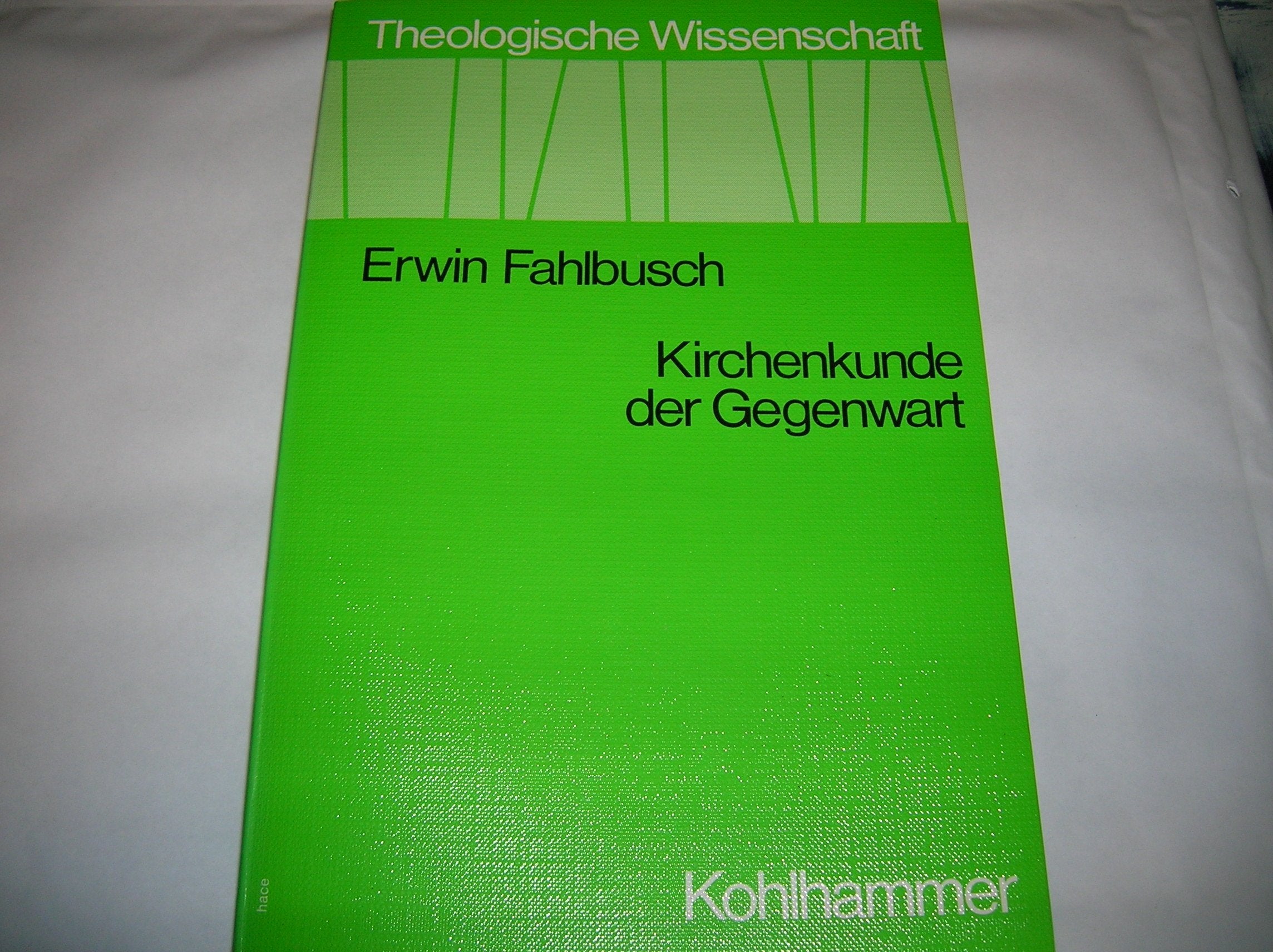 Kirchenkunde der Gegenwart (Theologische Wissenschaft / Sammelwerk für Studium und Beruf) Books