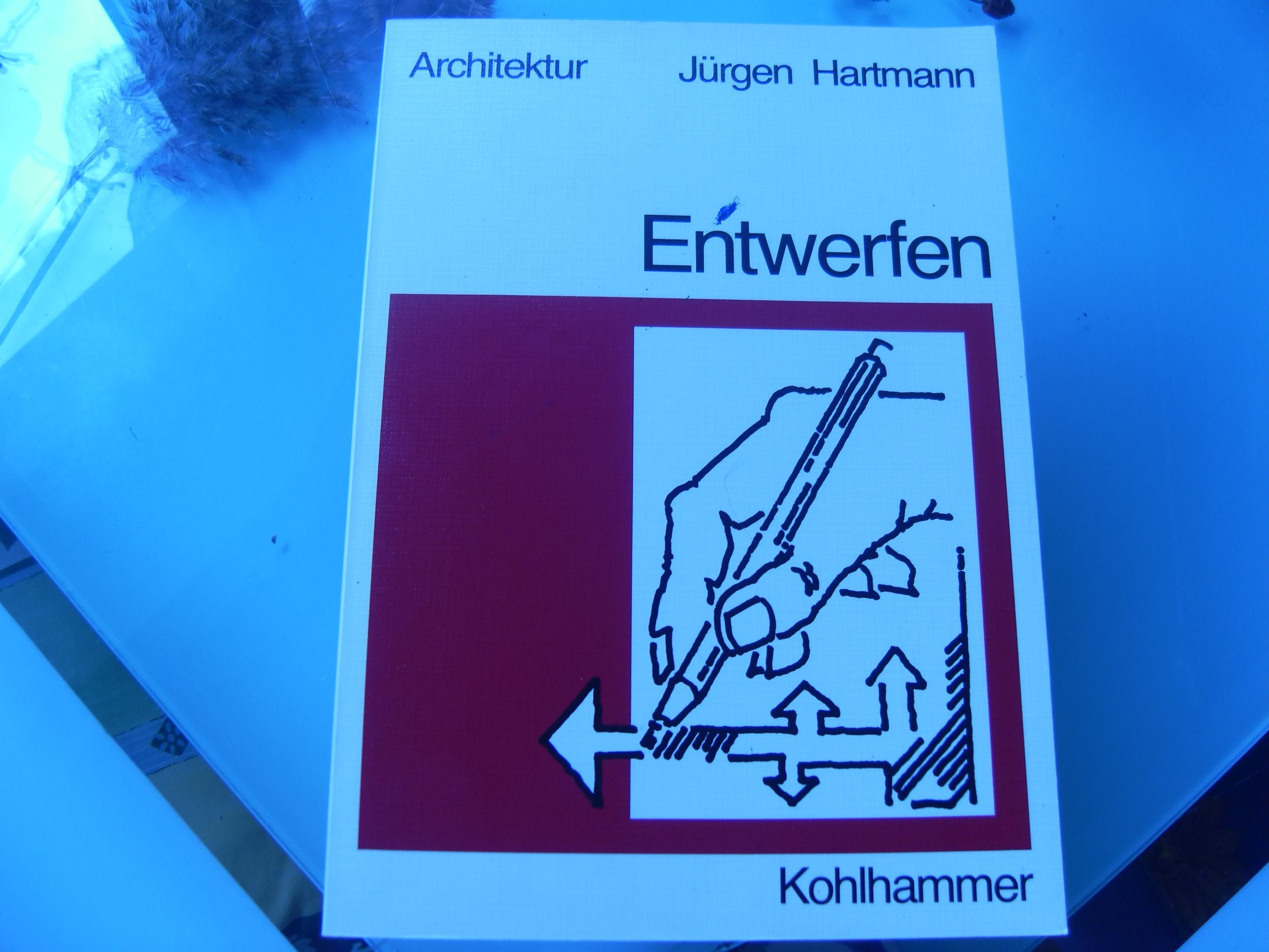 Entwerfen: Einführung in die wesentliche Tätigkeit des gestaltenden Architekten (Fachbuchreihe Architektur) Architecture