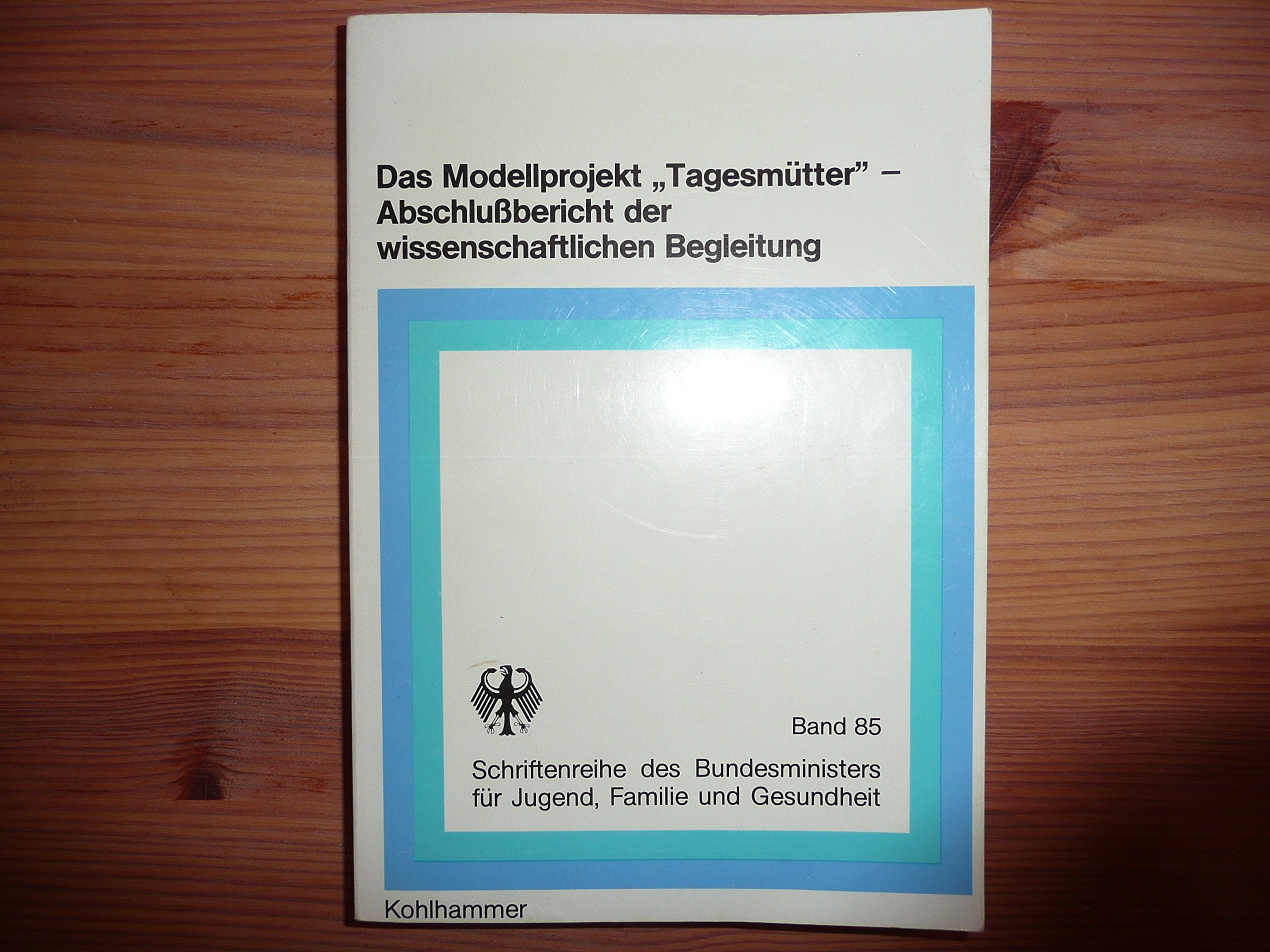Das Modellprojekt "Tagesmütter" - Abschlußbericht der wissenschaftlichen Begleitung Band 85: Schriftenreihe des Bundesministers für Jugend, Familie und Gesundheit Books