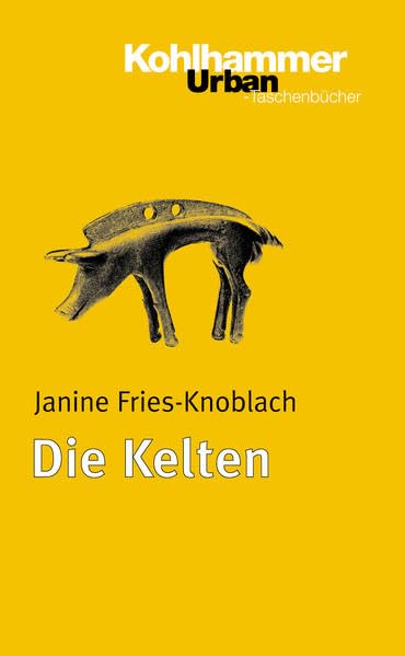 Die Kelten Politics & History books