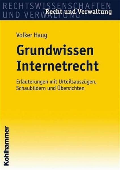 Grundwissen Internetrecht: Erläuterungen mit Urteilsauszügen, Schaubildern und Übersichten (Recht und Verwaltung) Law