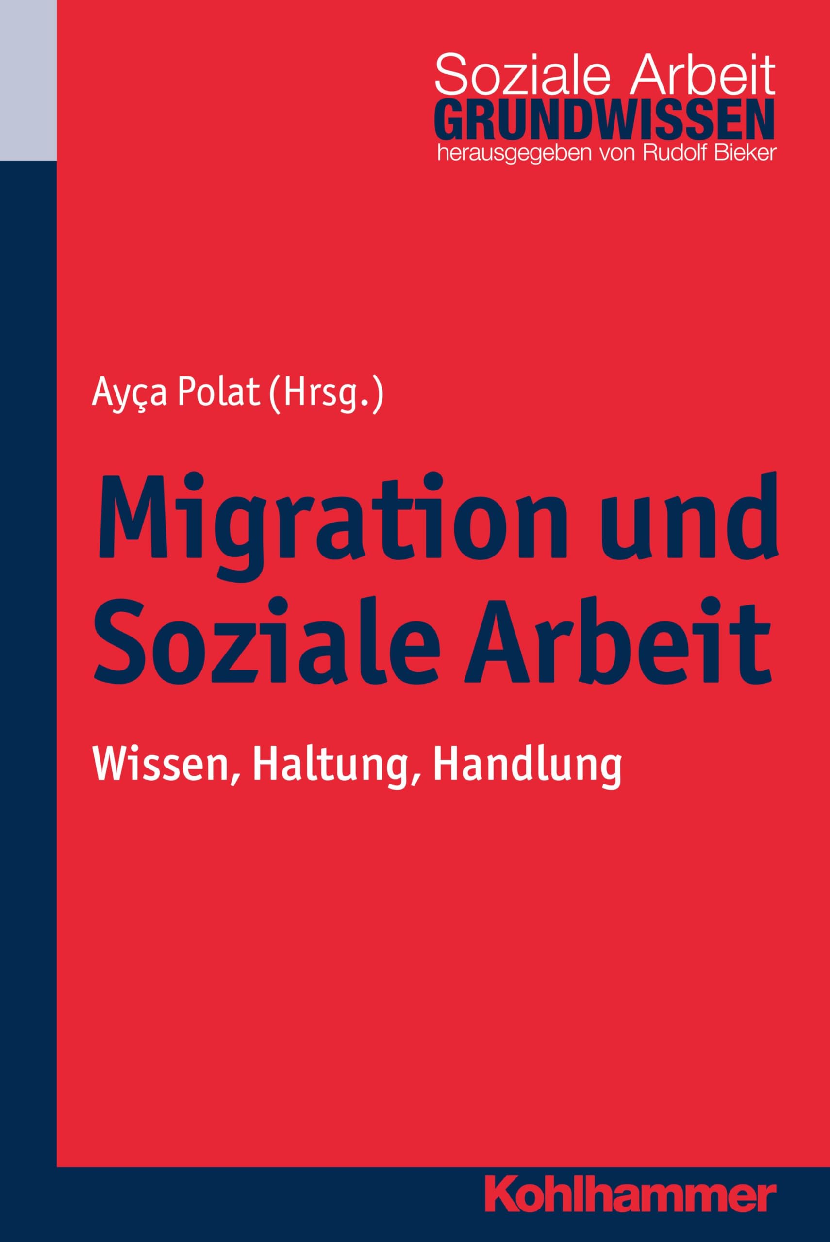 Migration und Soziale Arbeit Social Sciences Books