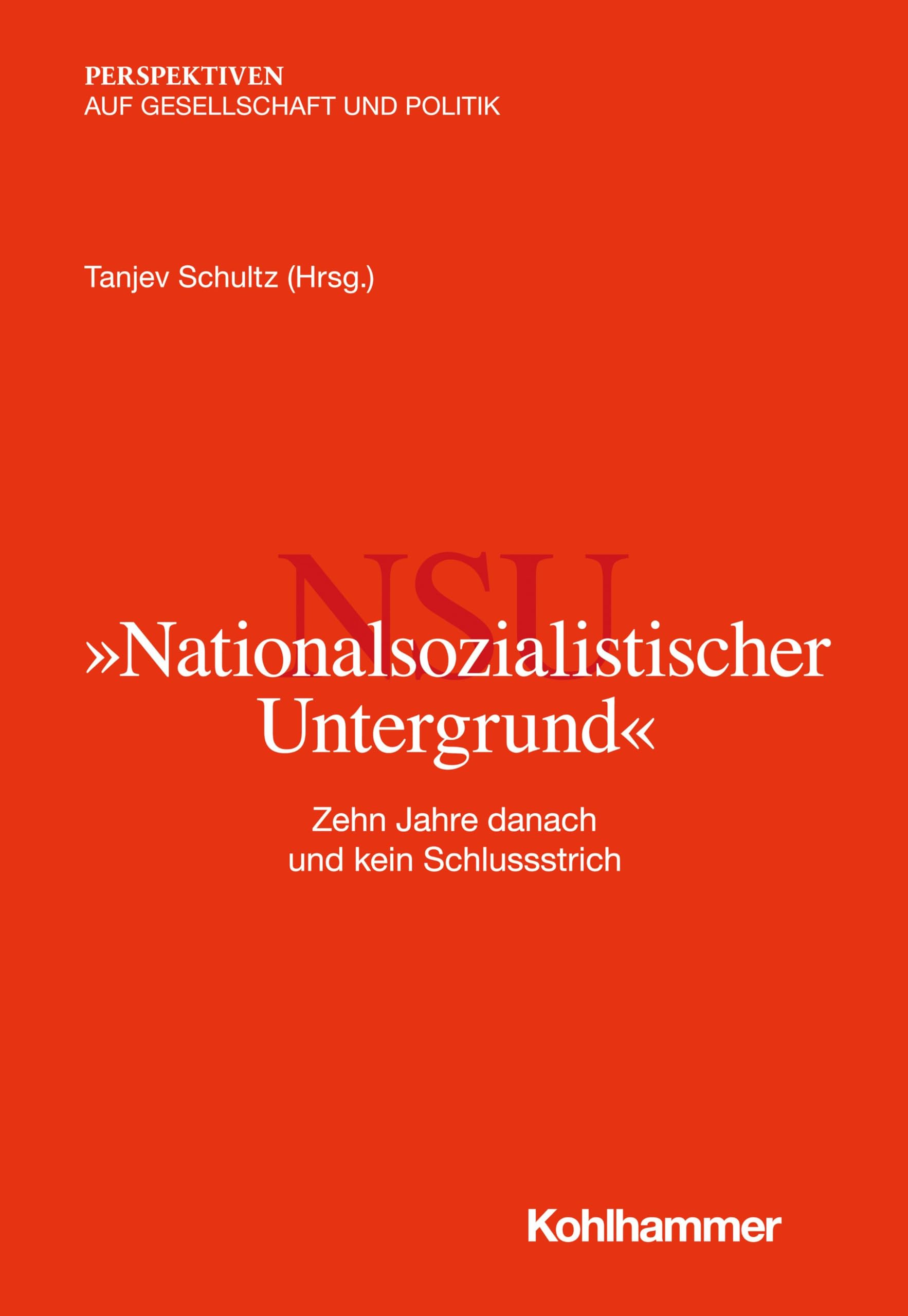 "Nationalsozialistischer Untergrund": Zehn Jahre danach und kein Schlussstrich (Perspektiven auf Gesellschaft und Politik) Books