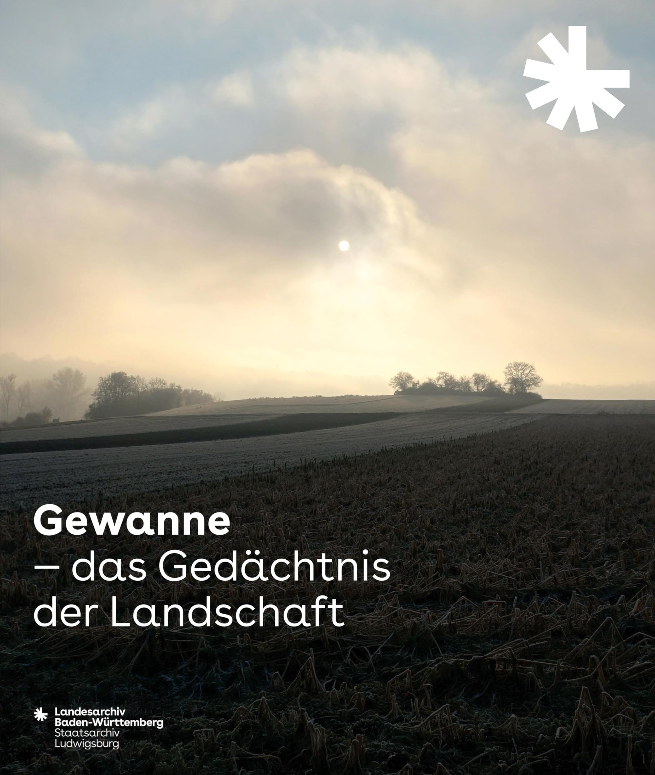 Gewanne - Das Gedächtnis der Landschaft book