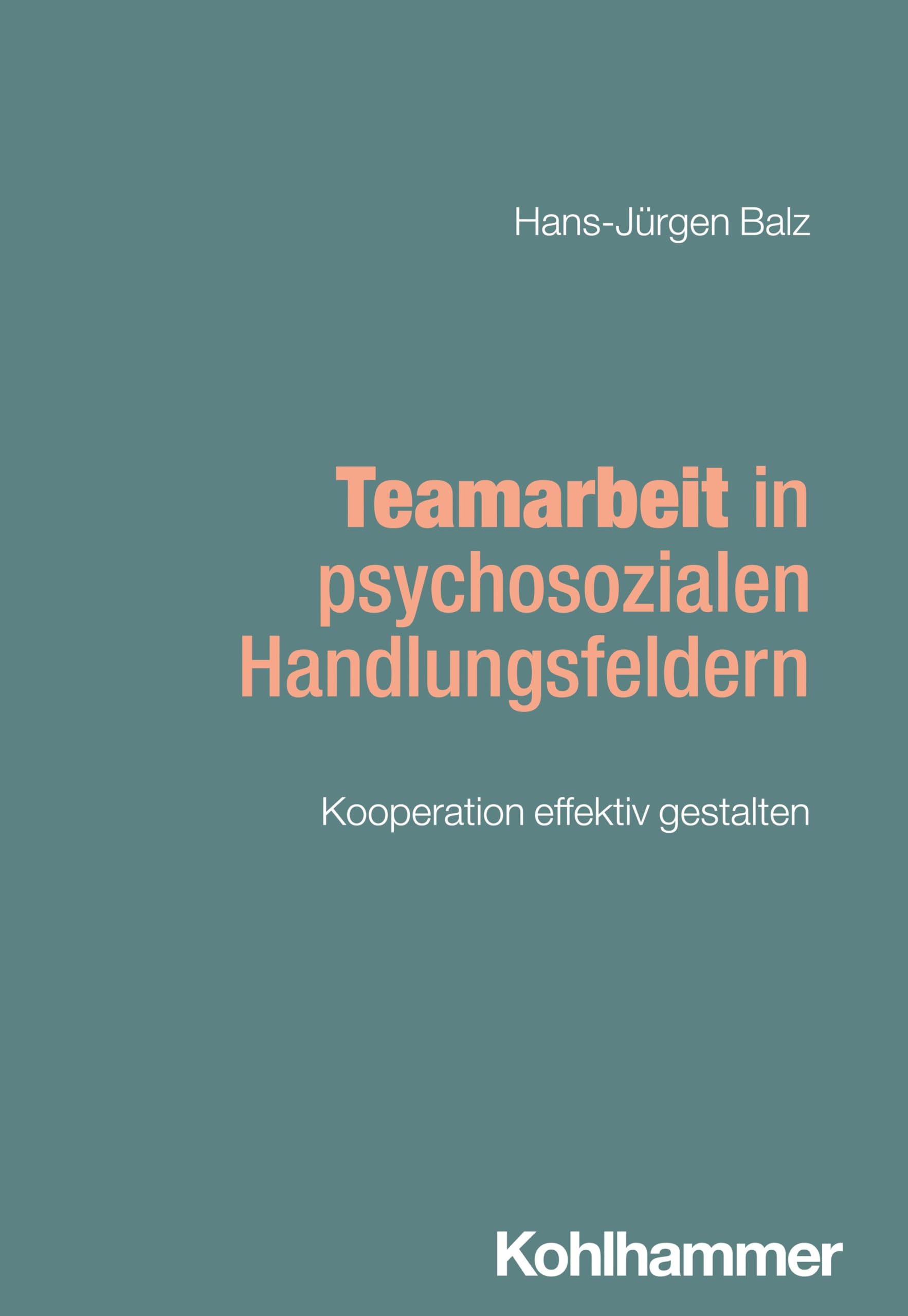 Teamarbeit in psychosozialen Handlungsfeldern Social Sciences