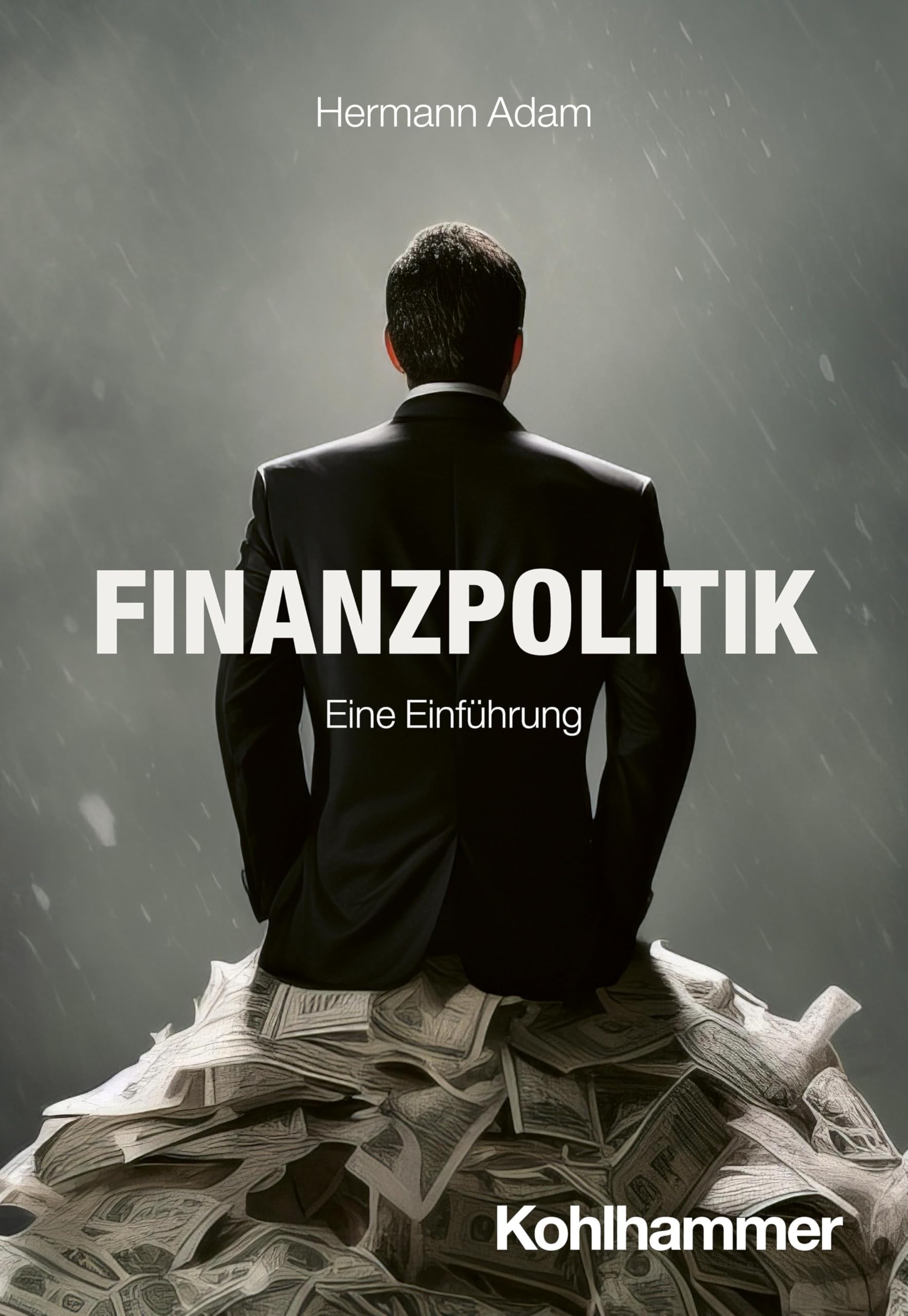 Finanzpolitik: Eine Einführung (Politik verstehen) Law