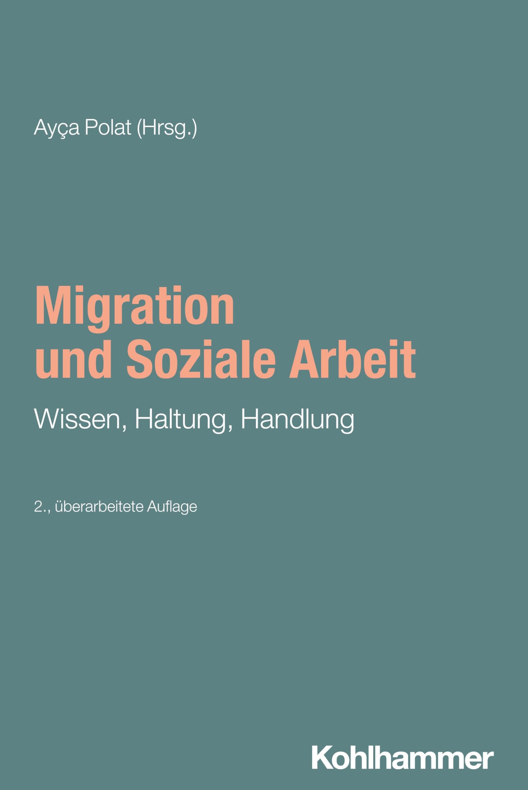 Product Image: Migration und Soziale Arbeit