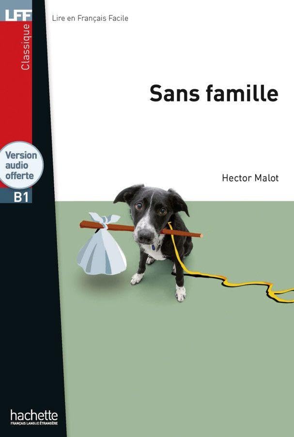 Sans famille: Lektüre mit Übungen, Lösungen und Audio-Download Study Guides
