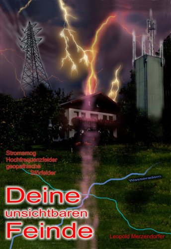 Deine unsichtbaren Feinde: Stromsmog Hochfrequenzfelder geopathische Störfelder. Fachbuch Business & Technology