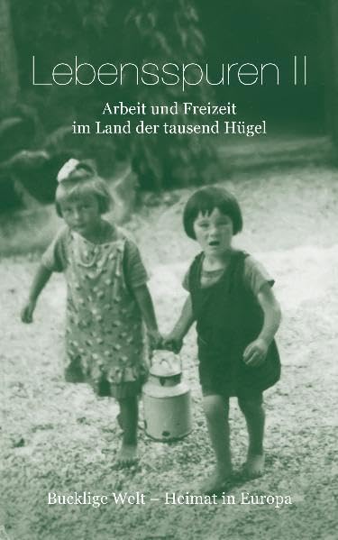 Lebensspuren II - Arbeit und Freizeit im Land der tausend Hügel: Bucklige Welt - Heimat in Europa Politics & History