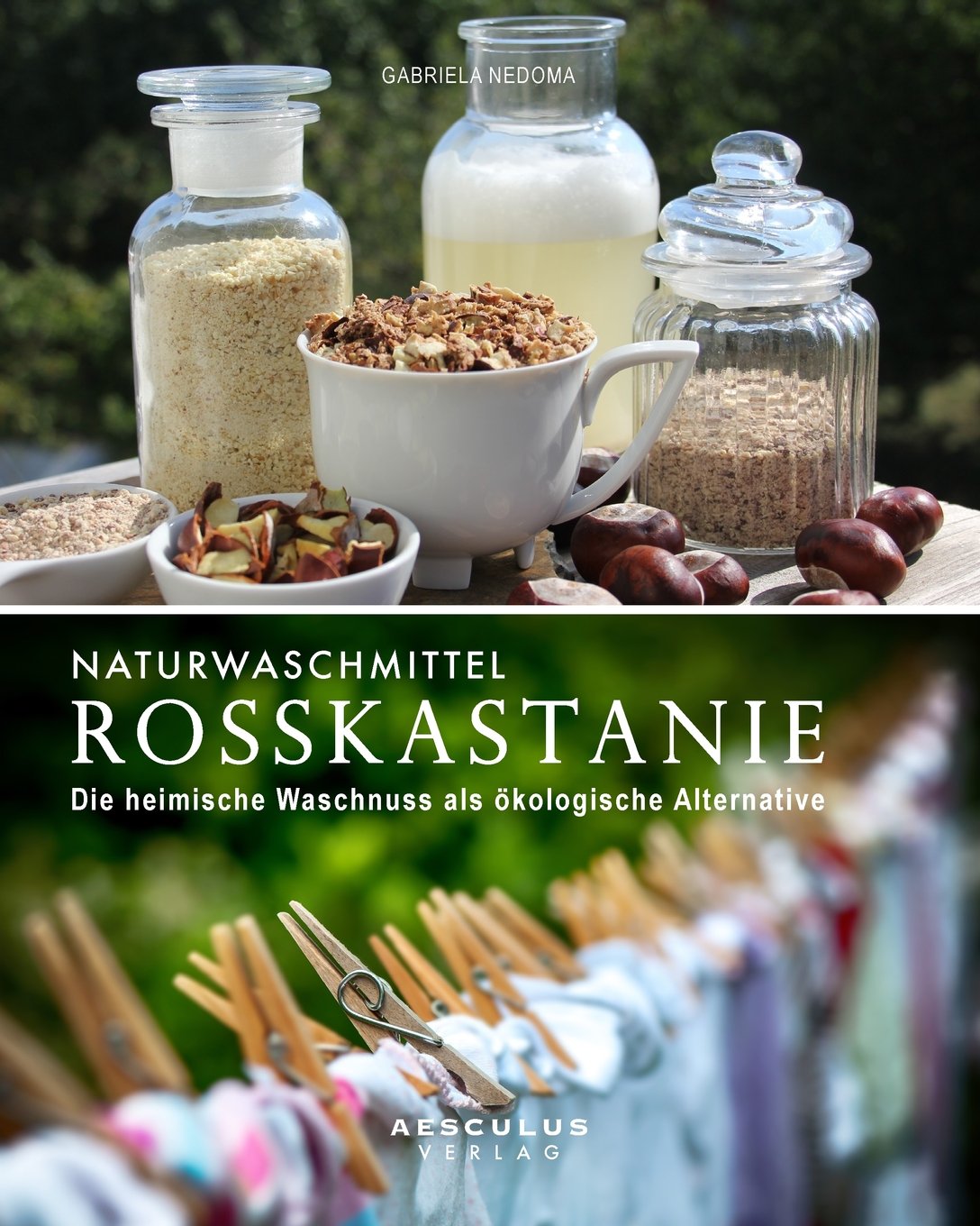 Naturwaschmittel Rosskastanie: Die heimische Waschnuss als ökologische Alternative Hobbies & Crafts